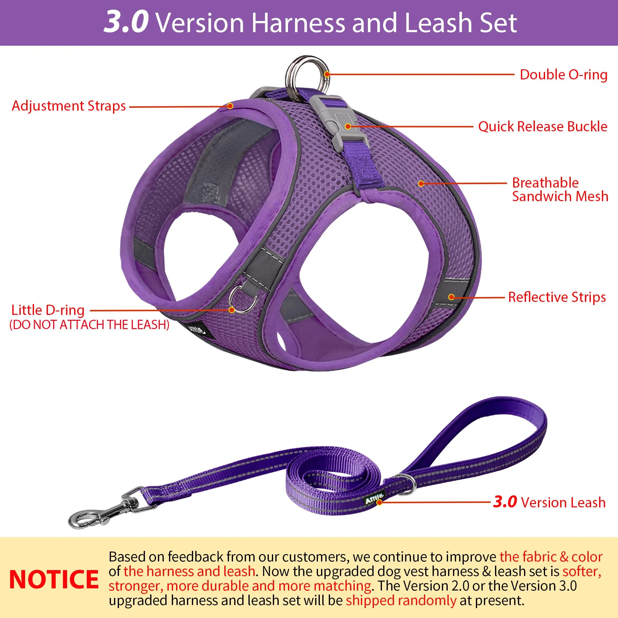 Aiitle Set Imbracatura e Guinzaglio Easy Walk per Cani, Taglia L, Viola Puro - immagine 2