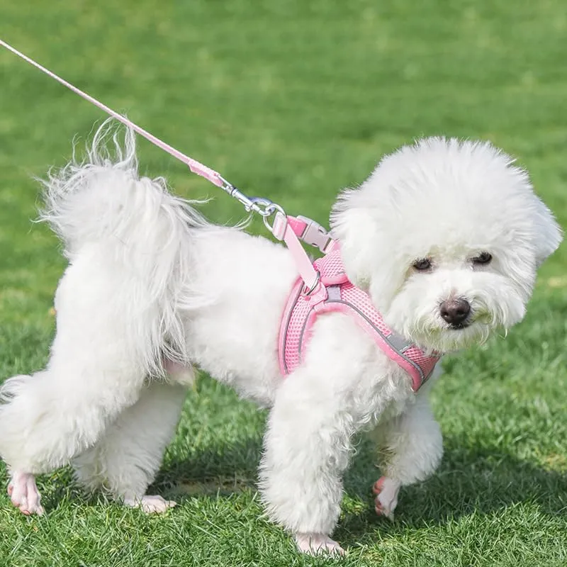 Aiitle Set Imbracatura e Guinzaglio per Cani, Gilet Riflettente Regolabile per Cuccioli e Cani di Piccola Taglia, Rosa Puro, XS - immagine 8