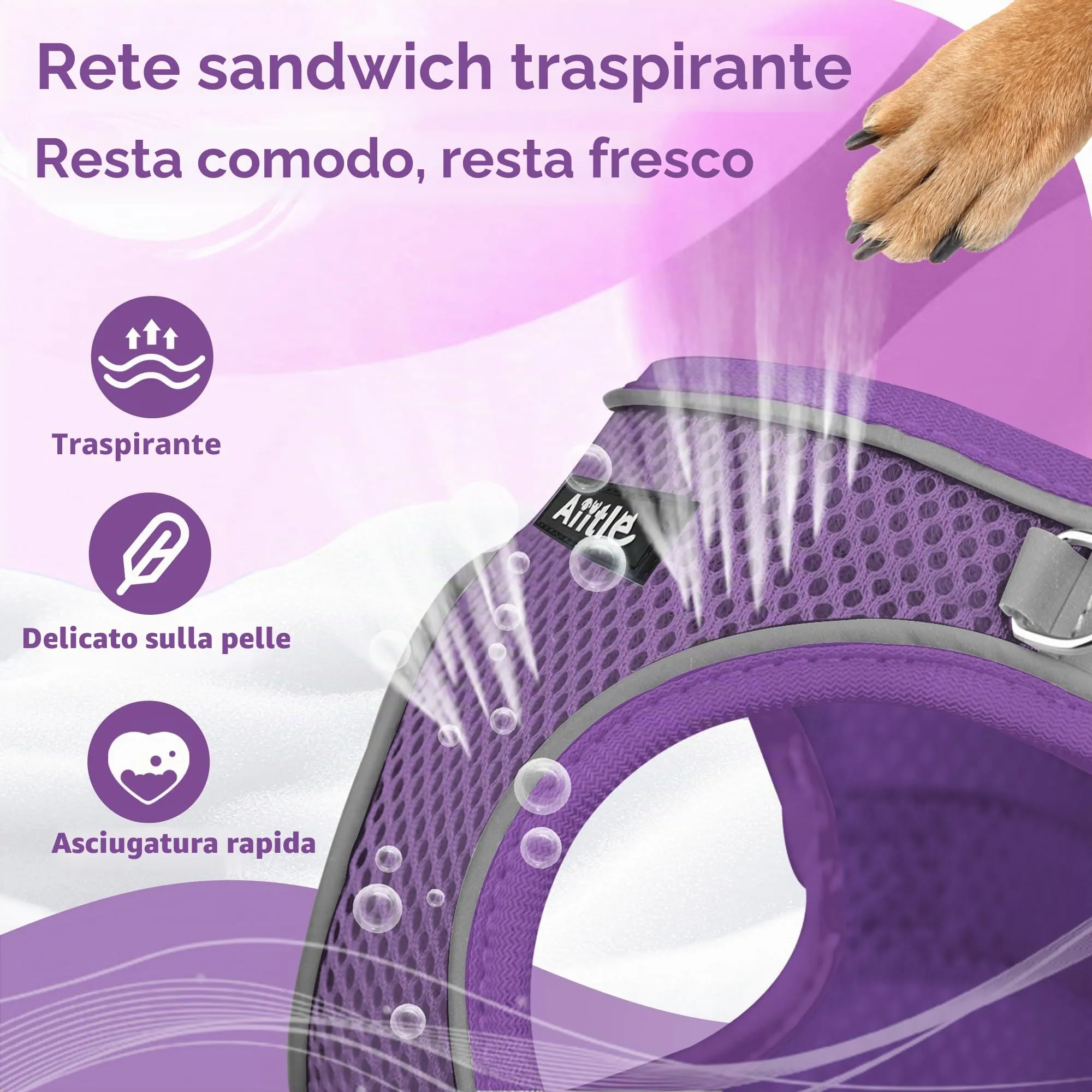 Aiitle Set Imbracatura a Gilet e Guinzaglio Riflettente per Cani di Piccola Taglia, Viola puro, XS - immagine 6