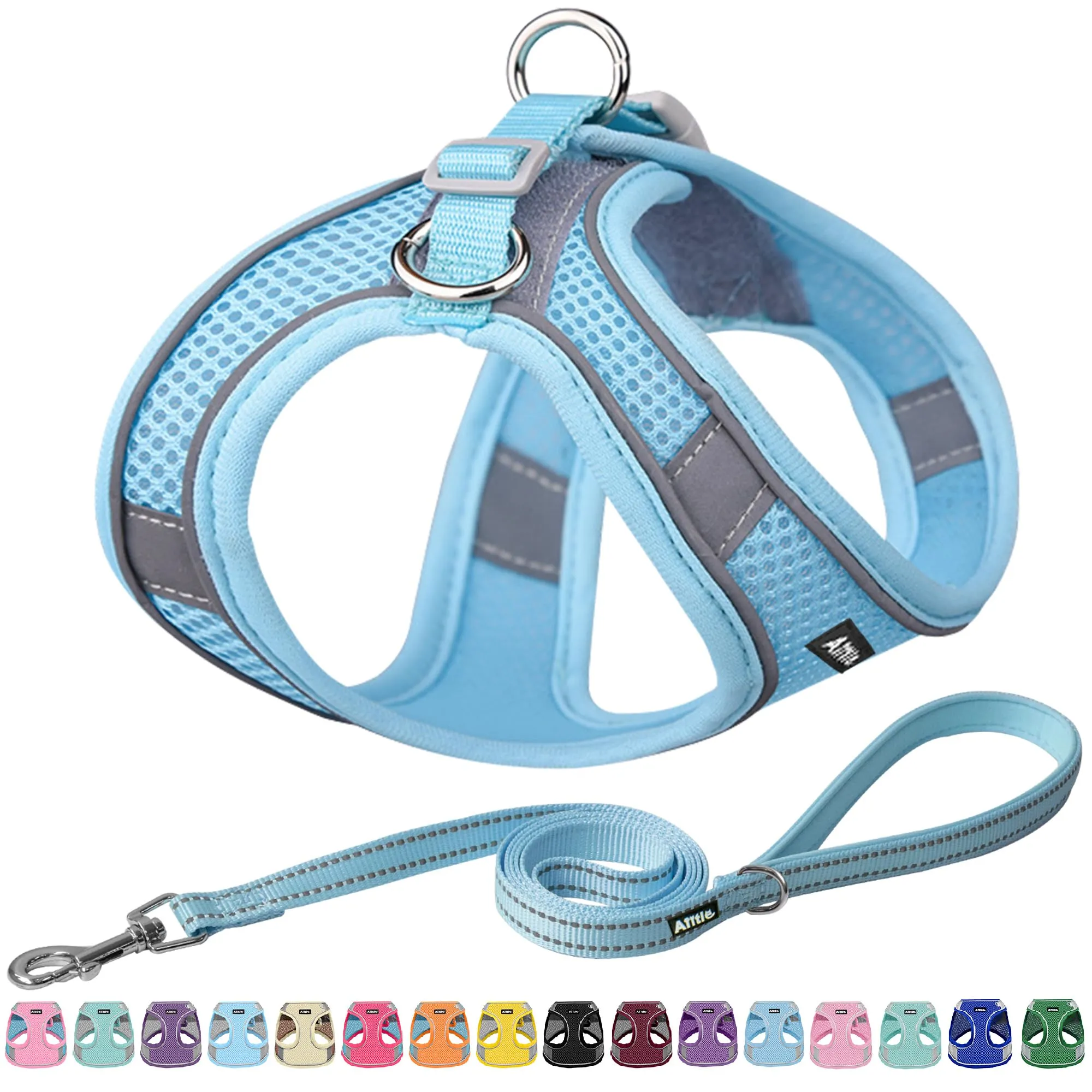 Aiitle Pettorina per cuccioli con guinzaglio, rete traspirante, anti-tiro, Blu puro, XXS - immagine 1