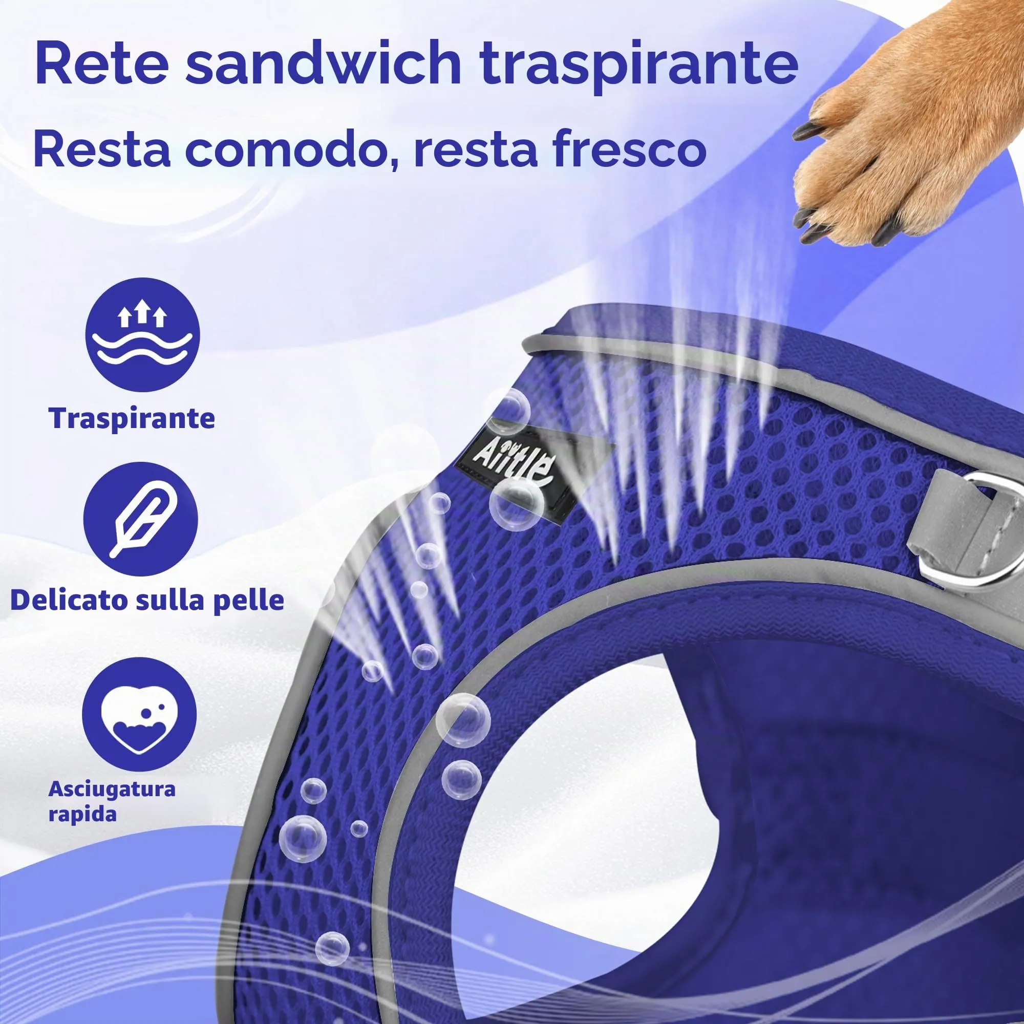 Aiitle Pettorina per Cuccioli con Guinzaglio, Mesh Traspirante Anti-tiro, Blu Reale, XXS - immagine 8