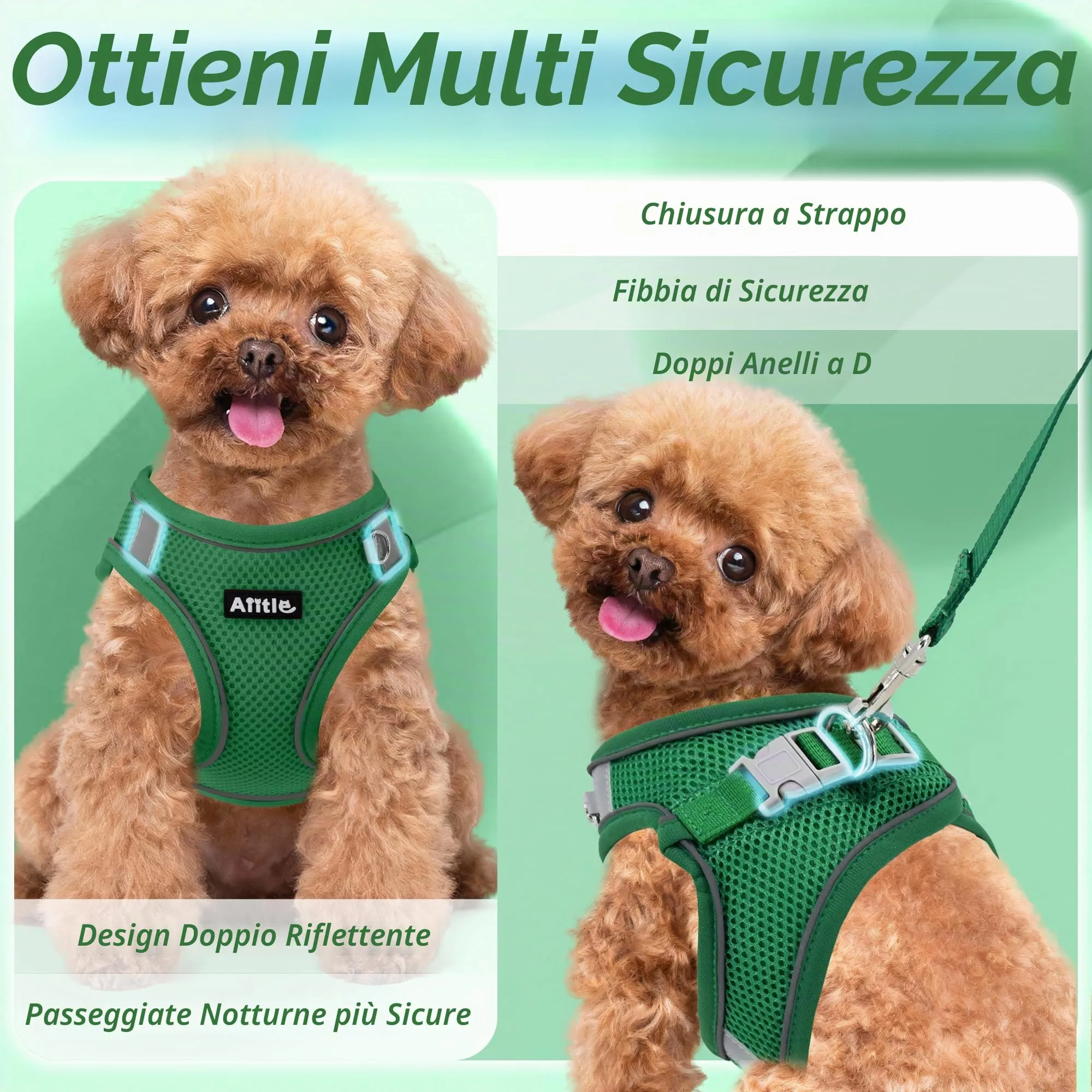 Aiitle Set Imbracatura e Guinzaglio Easy Walk per Cani, Regolabile, Verde, L - immagine 9