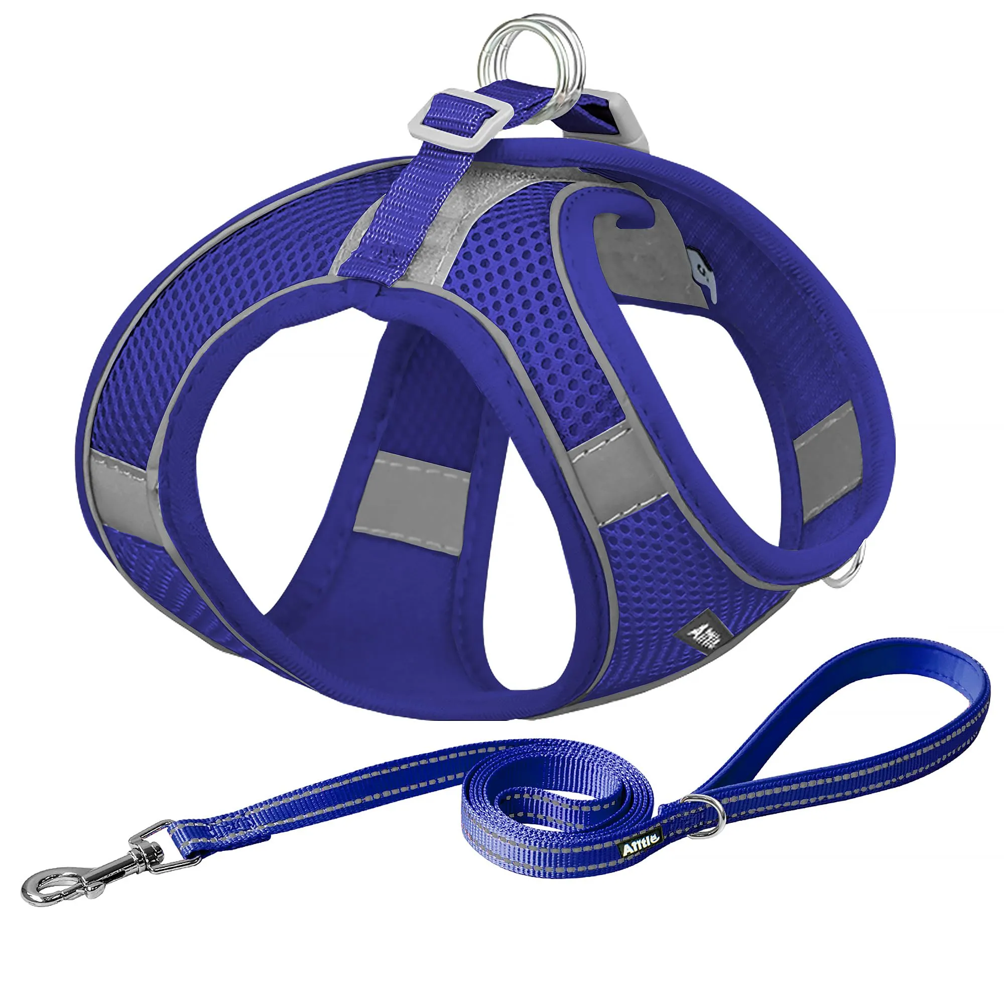 Aiitle Set Imbracatura a Gilet e Guinzaglio per Cani, Riflettente, Blu Reale, XS - immagine 1