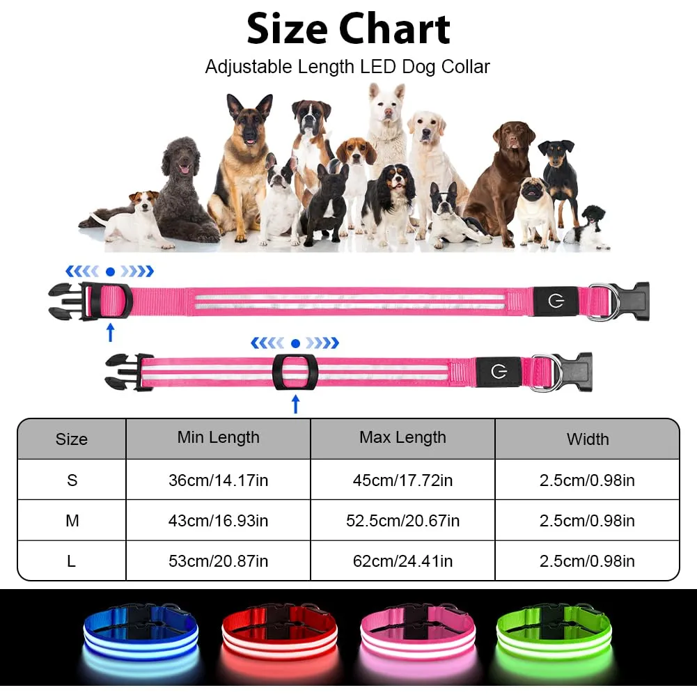 AUAUY Collare Luminoso per Cani, Ricaricabile USB, 3 Modalità, Rosa, S - immagine 2