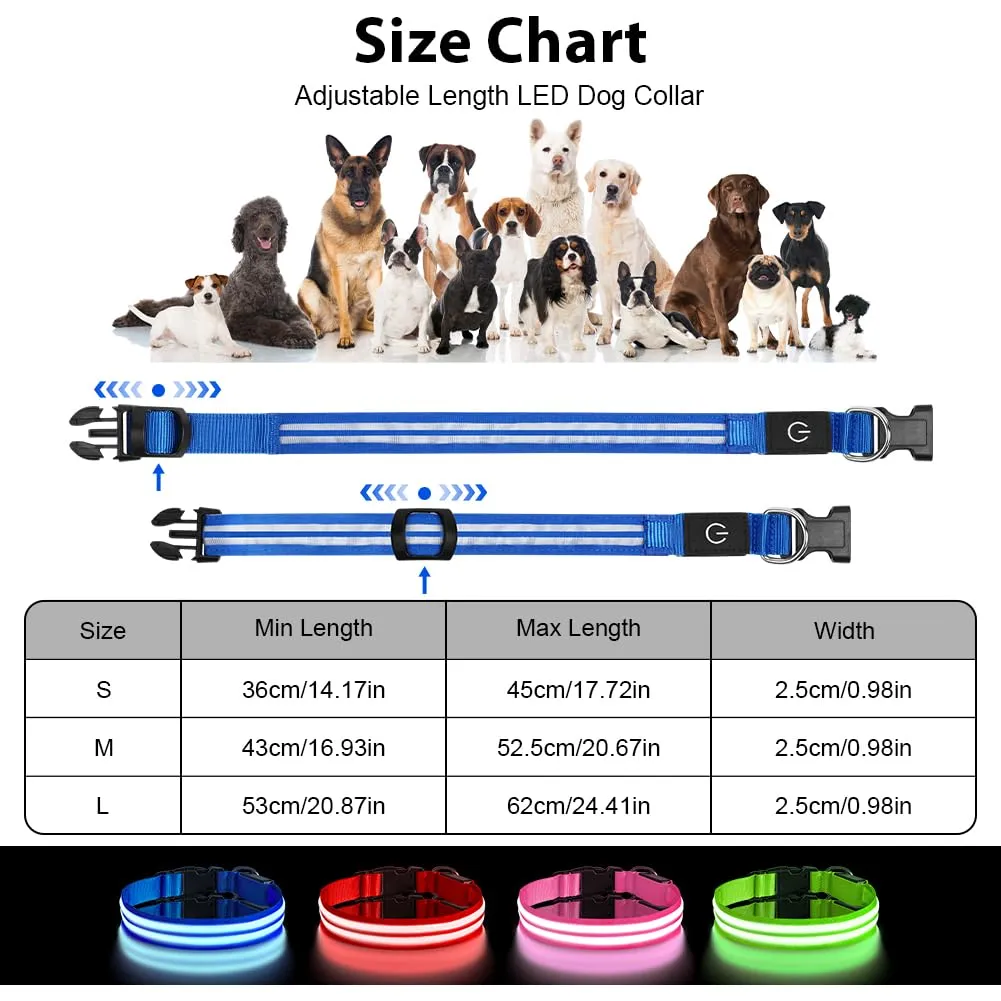 AUAUY Collare Luminoso per Cani, Ricaricabile USB, 3 Modalità, Blu, Taglia L - immagine 2