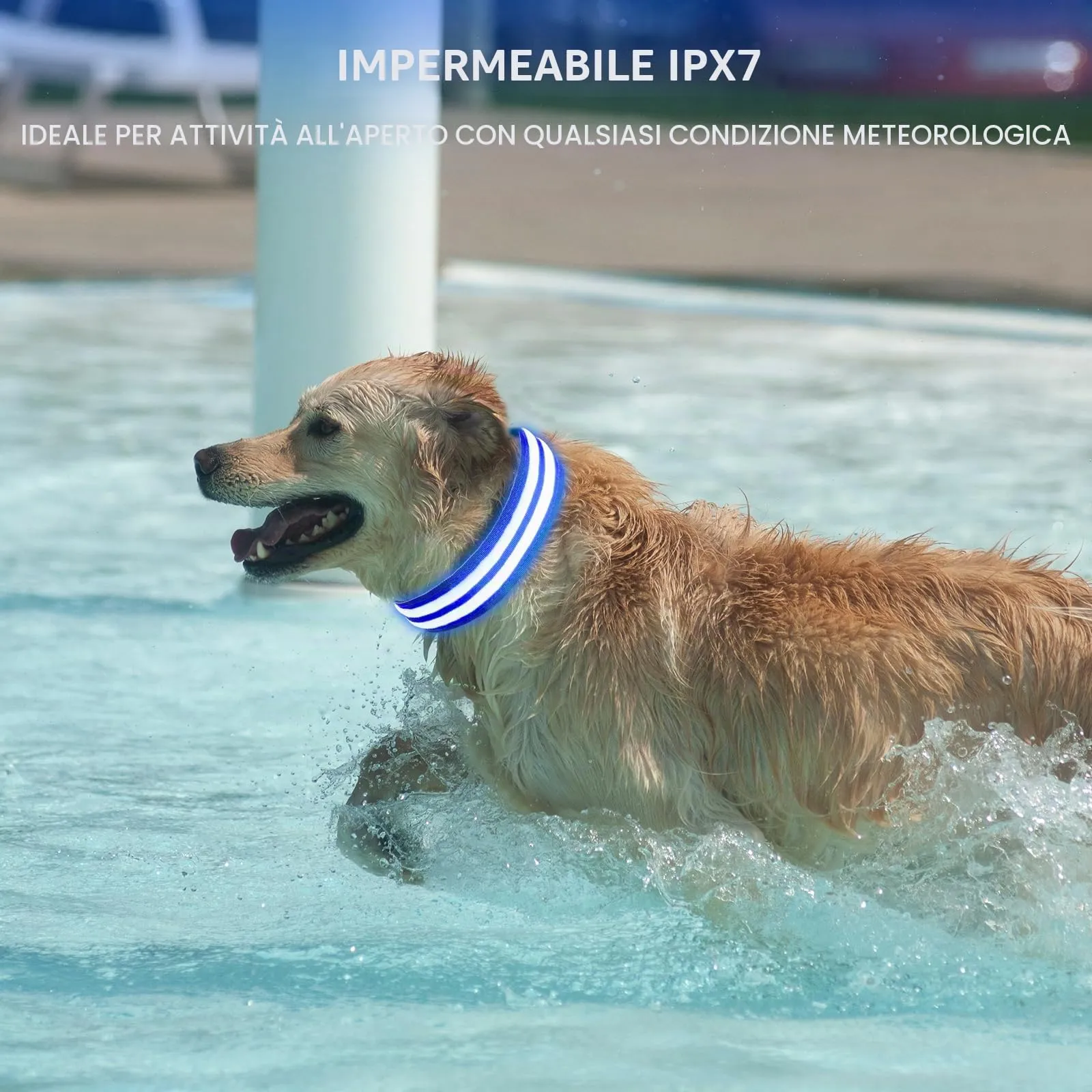 AUAUY Collare Luminoso per Cani, Ricaricabile USB, 3 Modalità, Blu, S - immagine 6