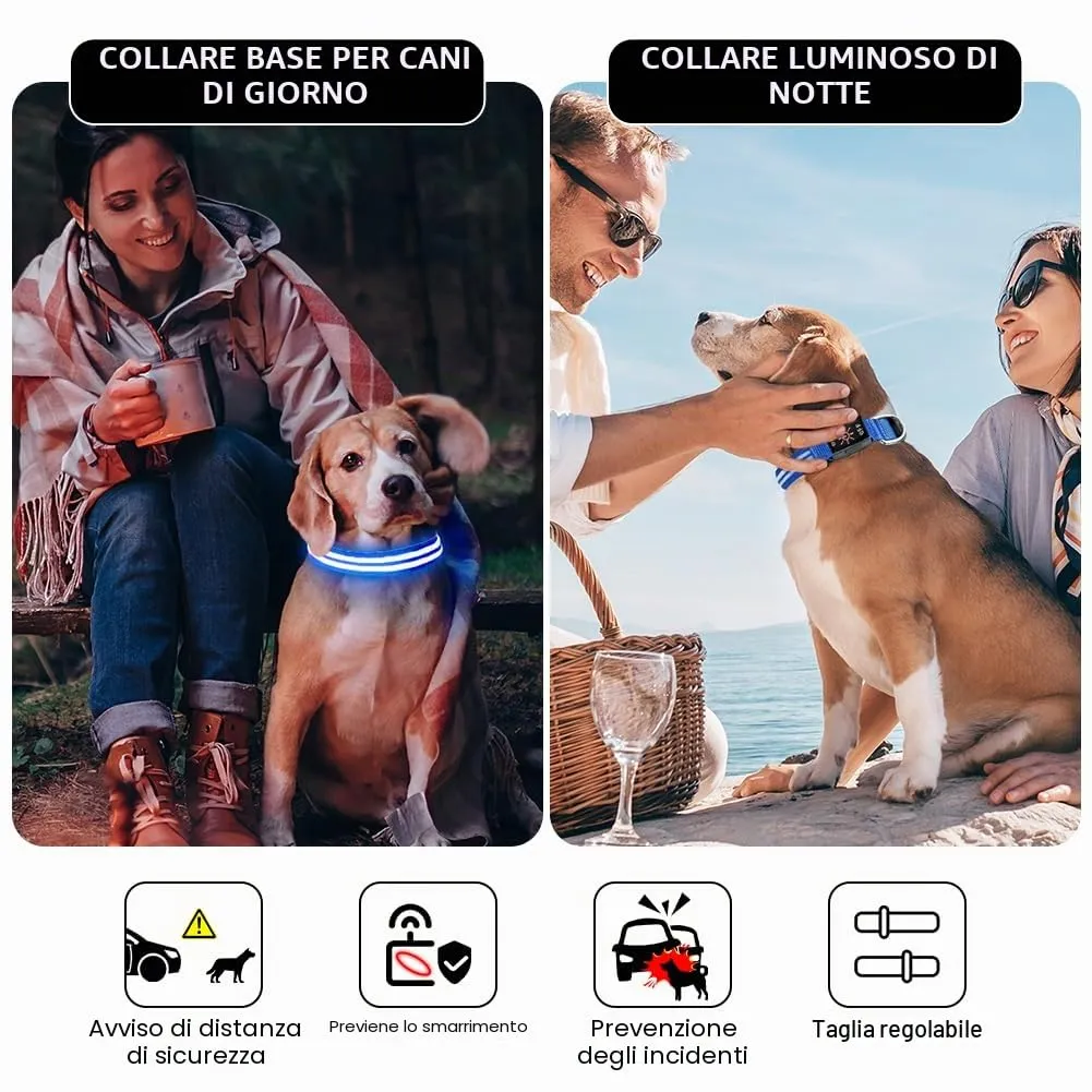 AUAUY Collare Luminoso per Cani, Ricaricabile USB, 3 Modalità, Blu, S - immagine 7