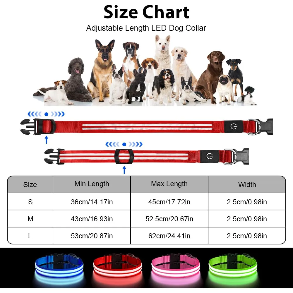 AUAUY Collare Luminoso per Cani, Ricaricabile USB, 3 Modalità, Rosso, Taglia M - immagine 2
