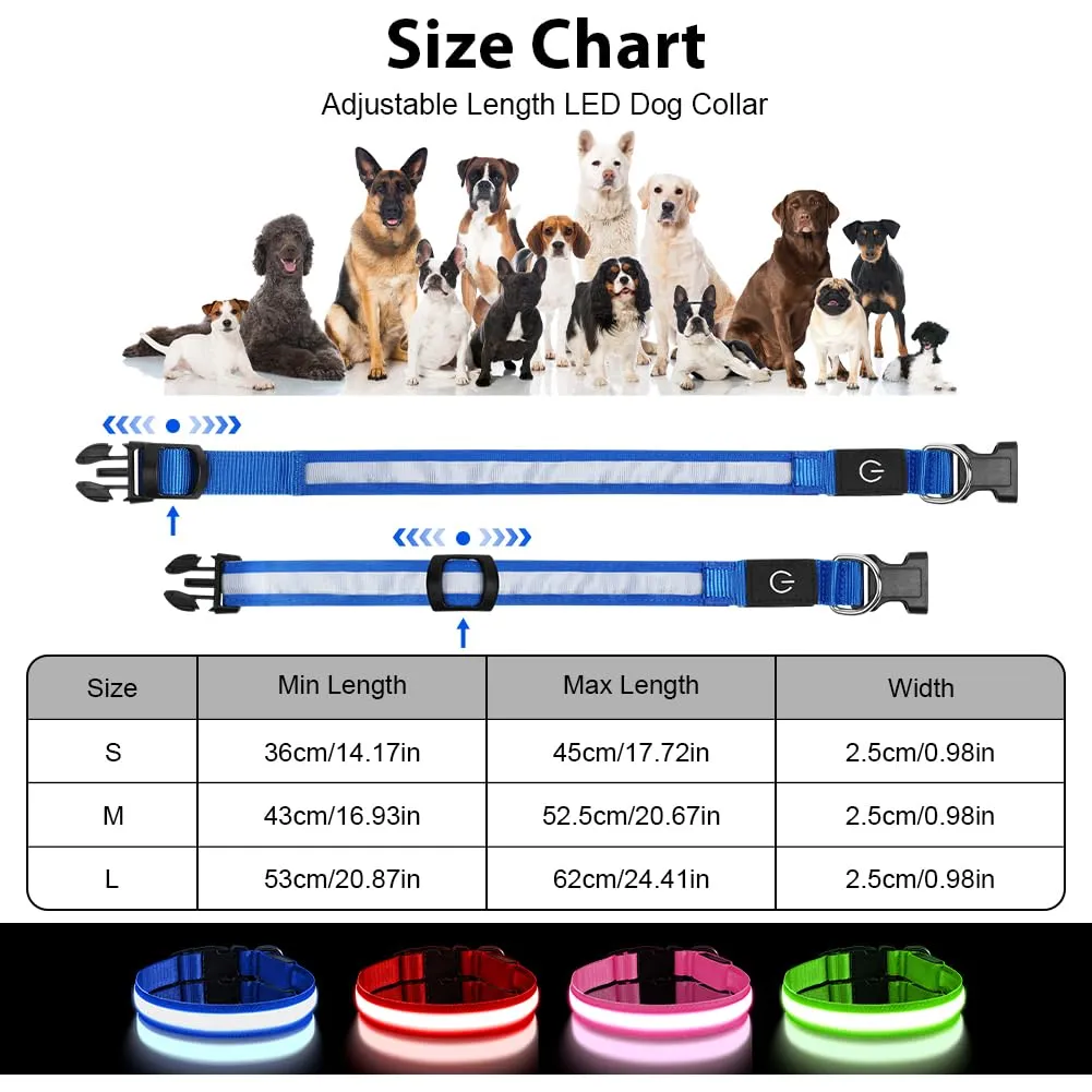 AUAUY Collare Luminoso per Cani, Ricaricabile USB, 3 Modalità, Blu, S - immagine 2
