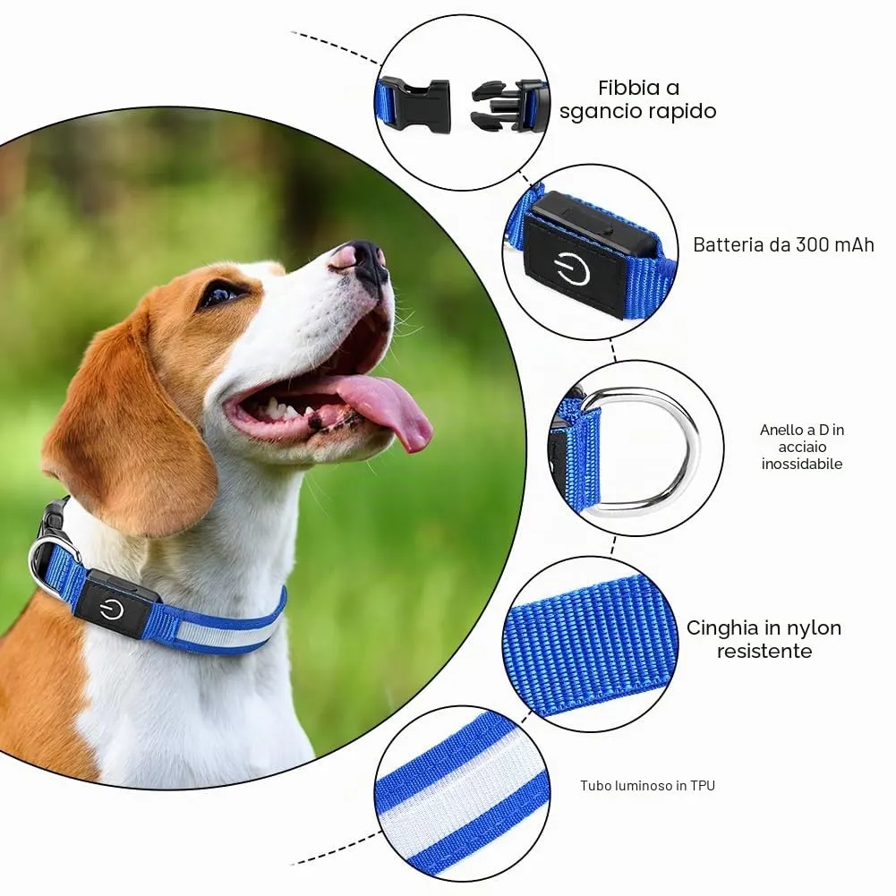 AUAUY Collare Luminoso per Cani, Ricaricabile USB, 3 Modalità, Blu, S - immagine 3