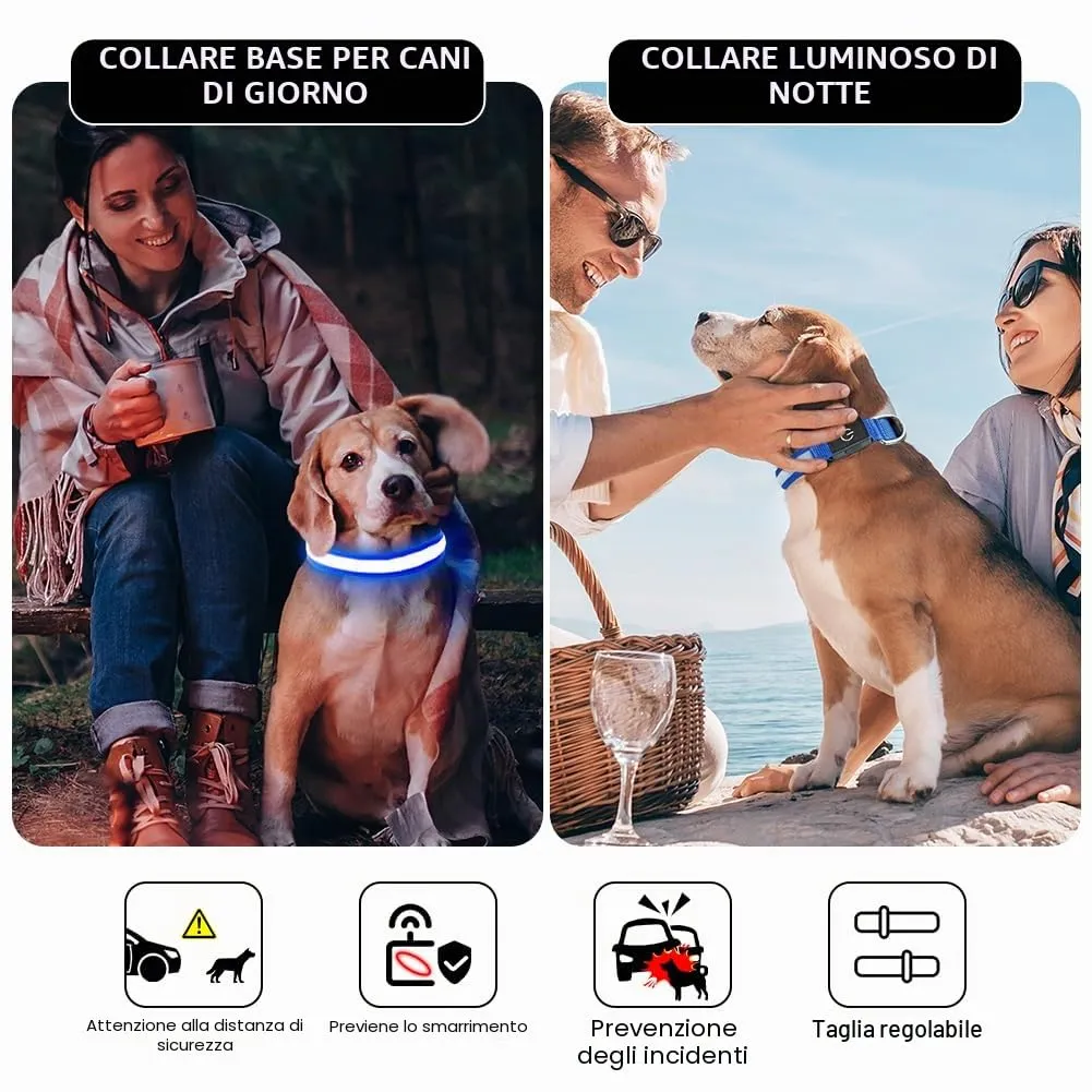AUAUY Collare Luminoso per Cani, Ricaricabile USB, 3 Modalità, Blu, S - immagine 7