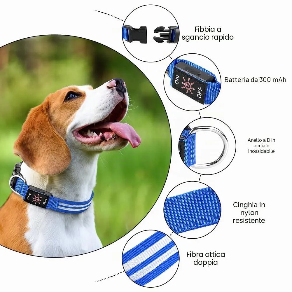 AUAUY Collare Luminoso per Cani, Ricaricabile USB, 3 Modalità, Rosso, S - immagine 3