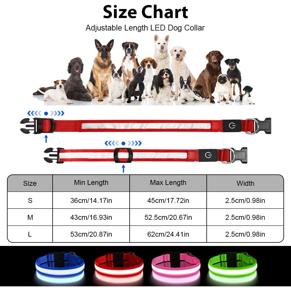 AUAUY Collare Luminoso per Cani LED, Ricaricabile USB, 3 Modalità, Rosso, Taglia M - immagine 2