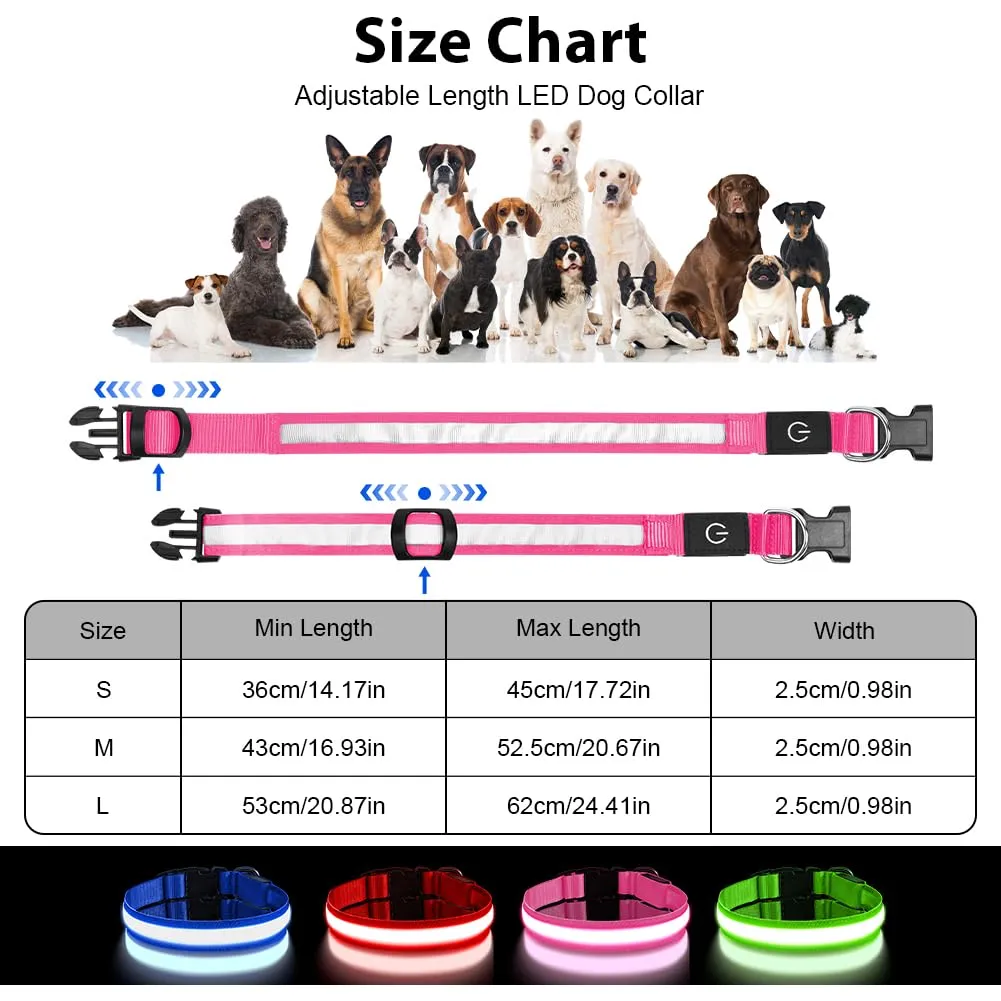 AUAUY Collare Luminoso per Cani, Ricaricabile USB, 3 Modalità, Rosa, S - immagine 2