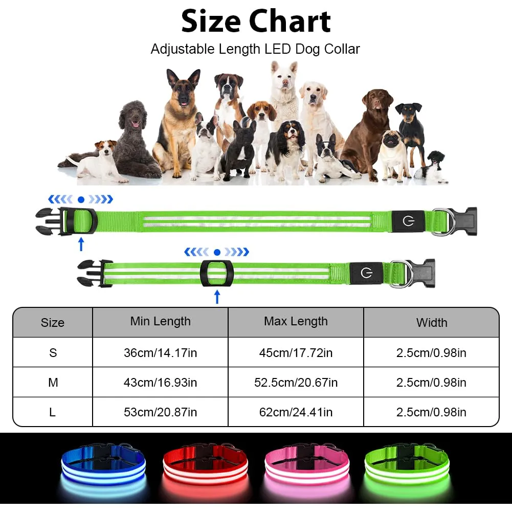 AUAUY Collare Luminoso per Cani, Ricaricabile USB, 3 Modalità, Verde, S - immagine 2