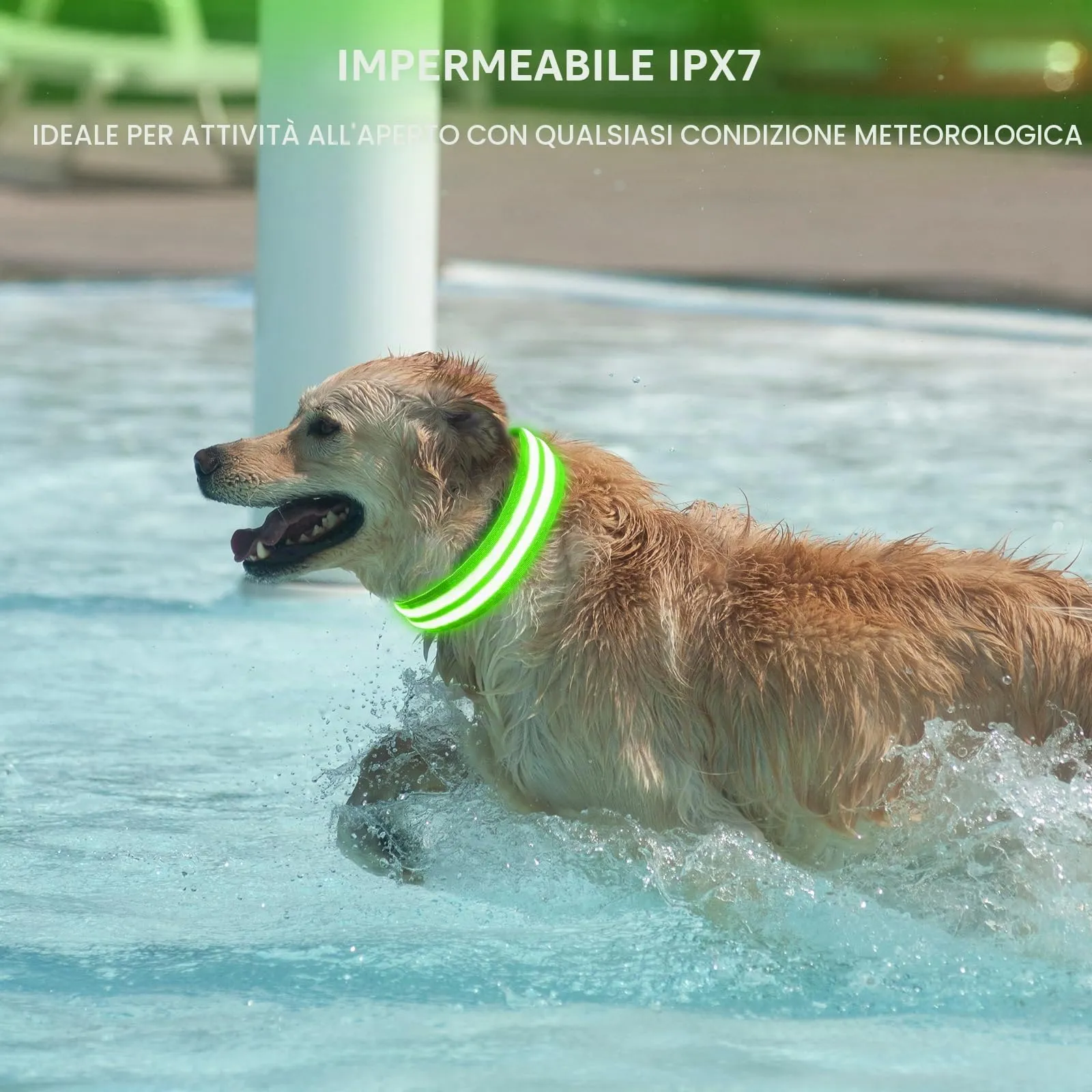 AUAUY Collare Luminoso per Cani, Ricaricabile USB, 3 Modalità, Verde, S - immagine 6