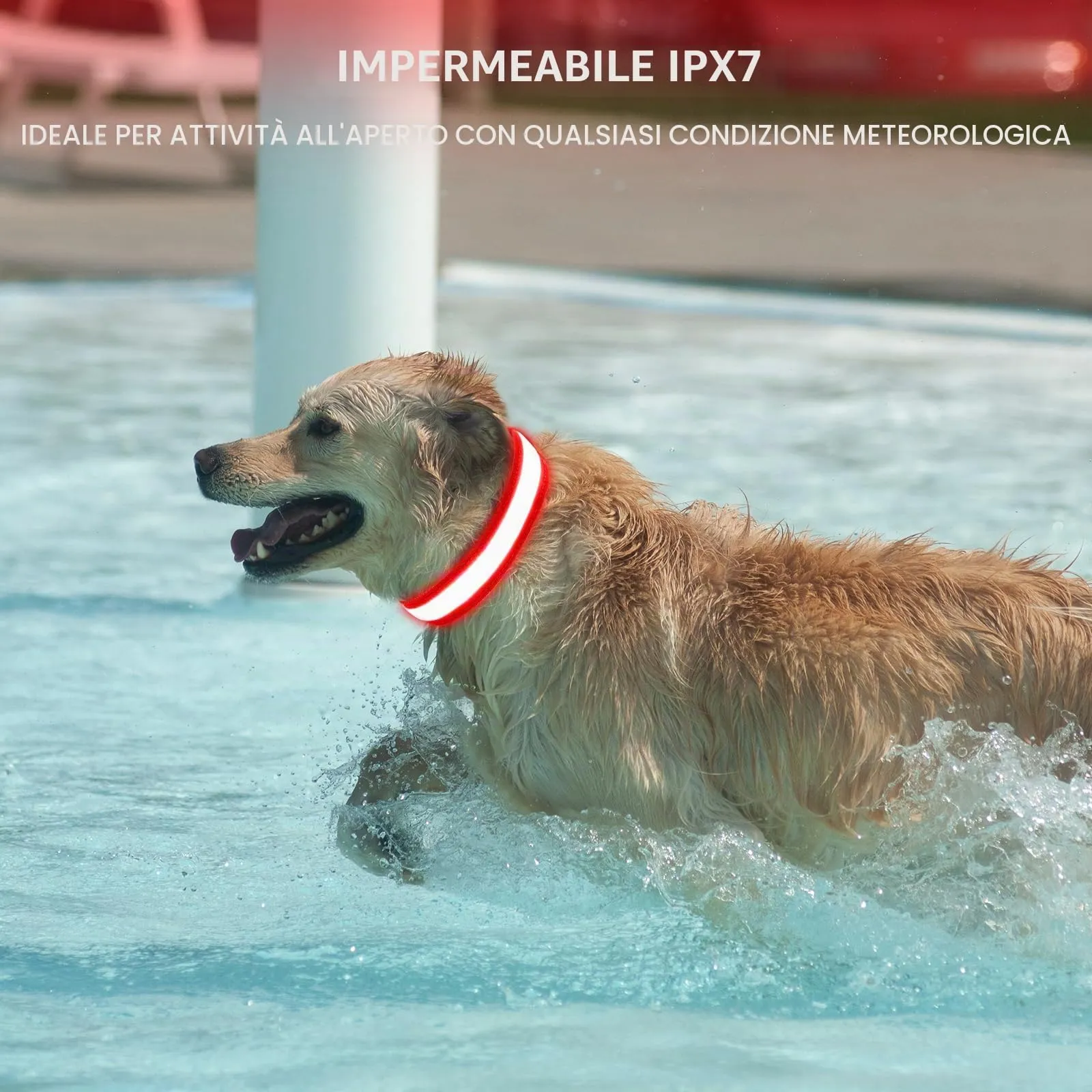 AUAUY Collare Luminoso per Cani, Ricaricabile USB, 3 Modalità, Rosso, L - immagine 6