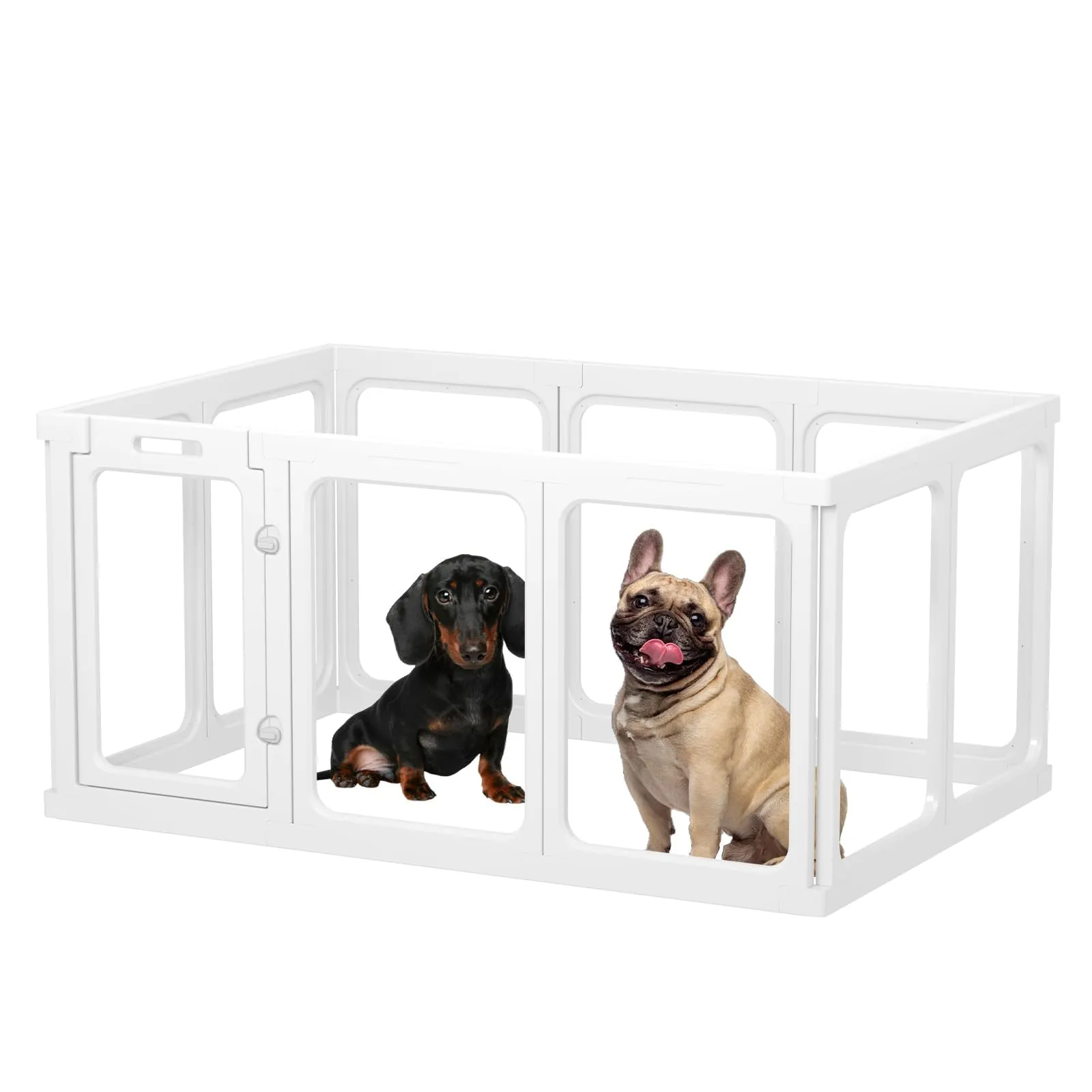 Gardner Pet Recinto per Cani in Acrilico Trasparente, 10 Pezzi, Bianco - immagine 9