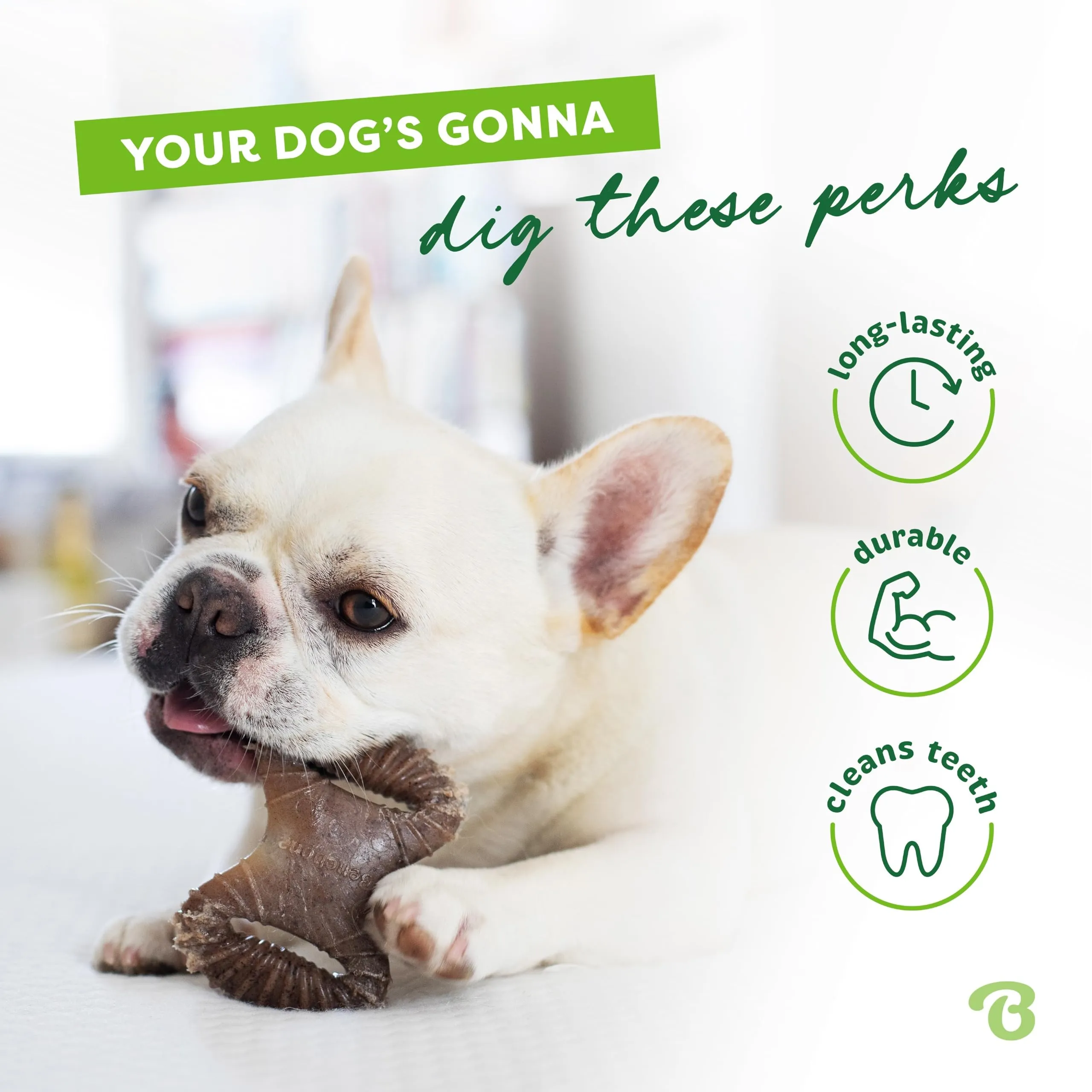 Benebone Tiny Confetti Set di 2 Giochi da Masticare per Cani, Bacon Reale - immagine 3