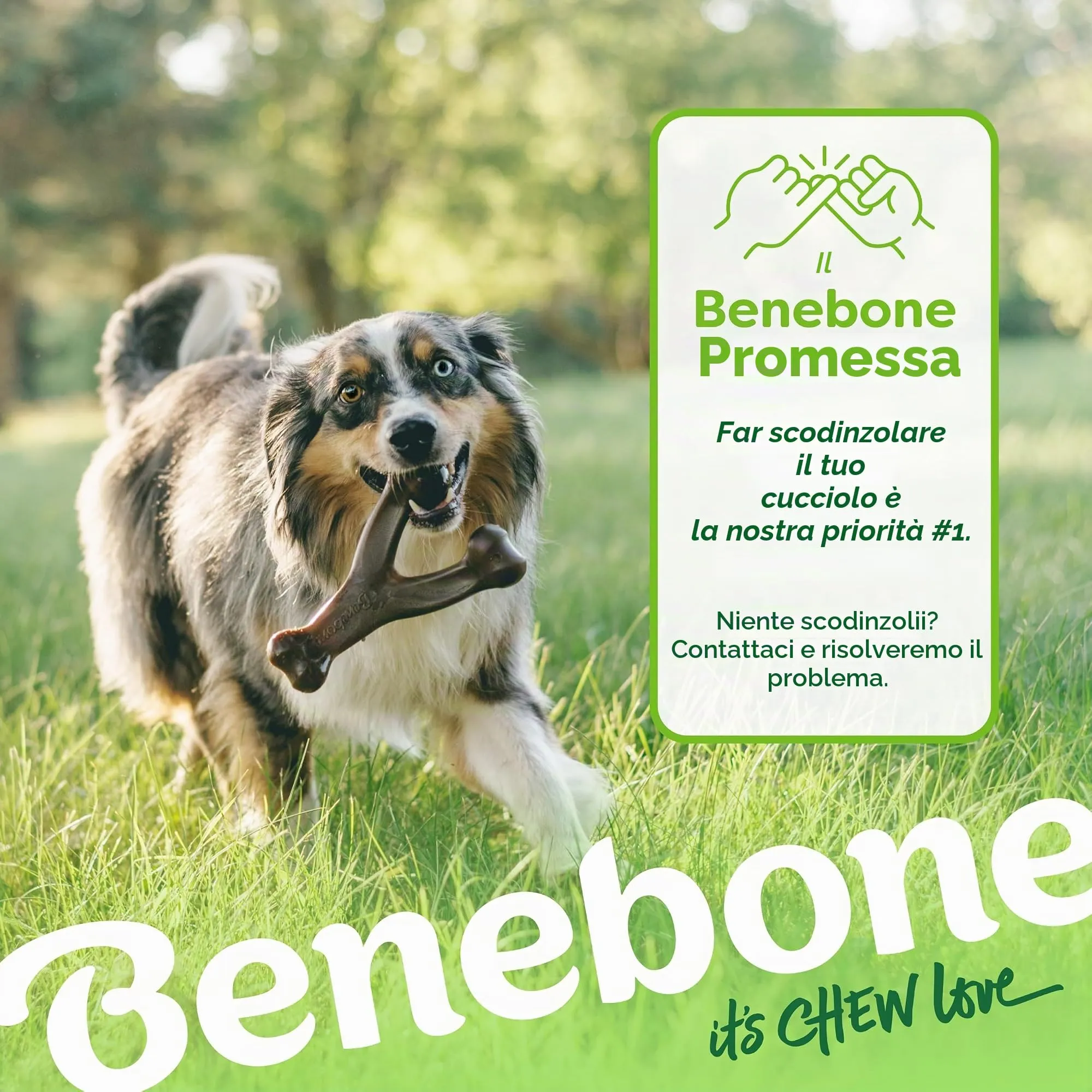 Benebone Tiny Confetti Set di 2 Giochi da Masticare per Cani, Bacon Reale - immagine 6