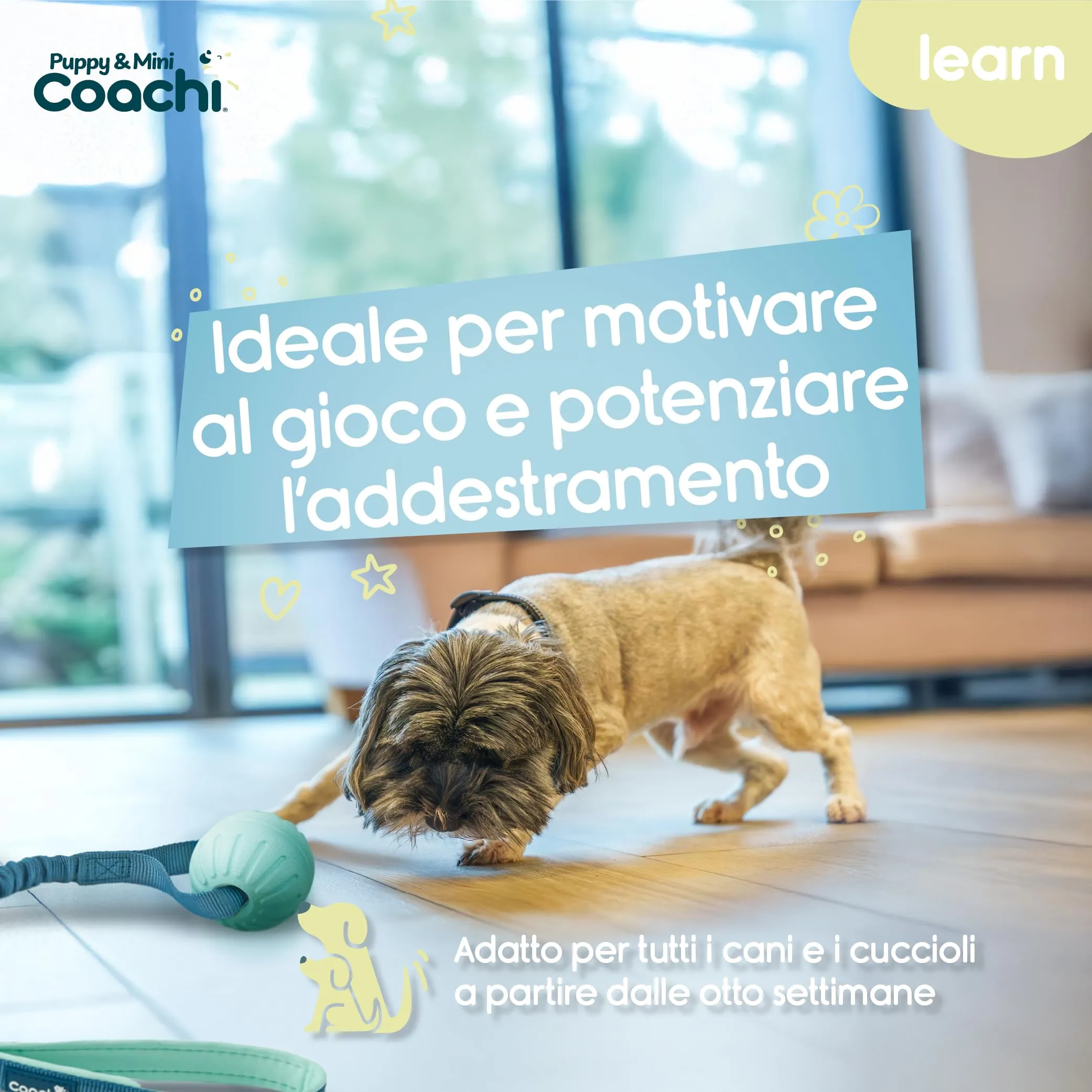 Coachi Puppy & Mini Tuggi Ball per cani - immagine 2