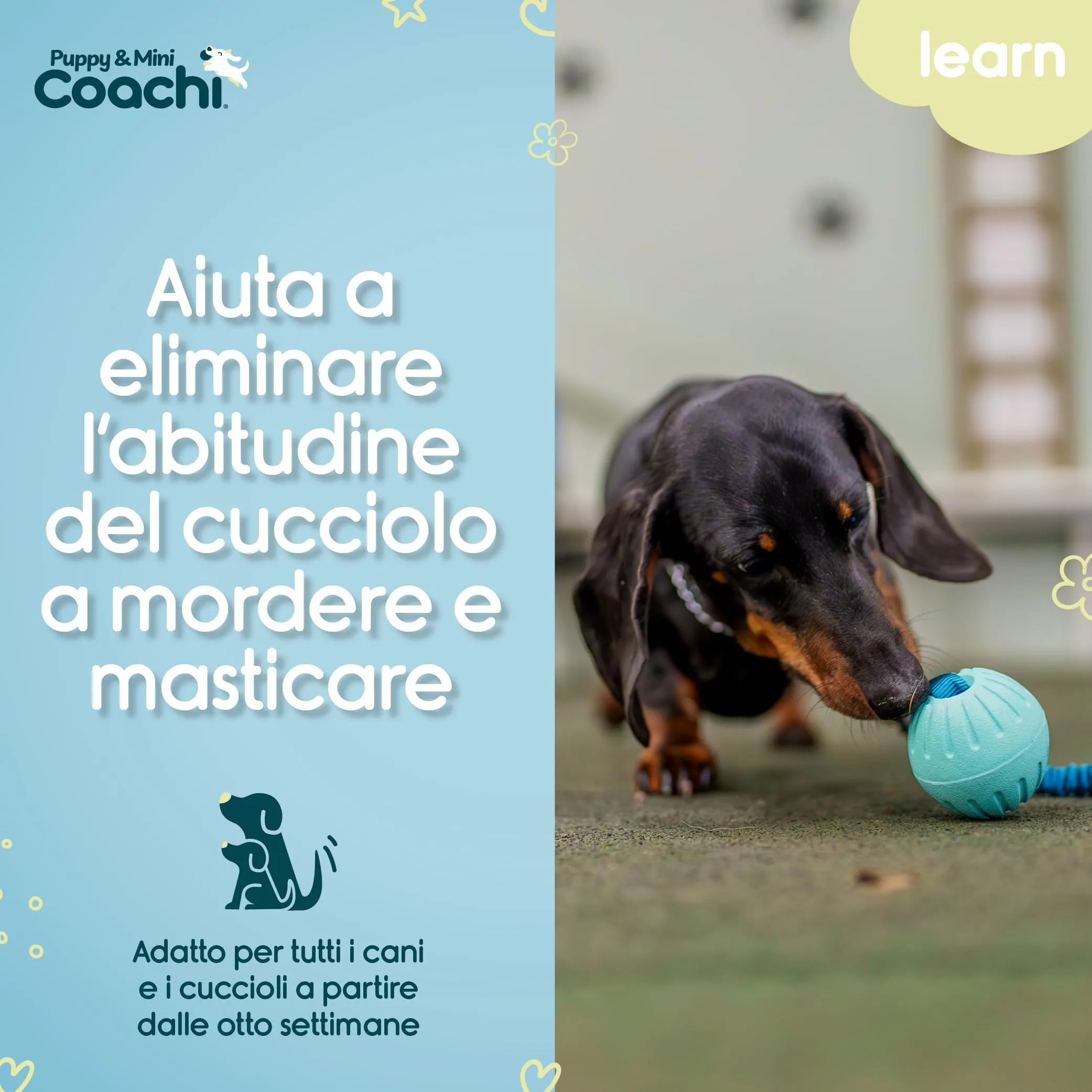 Coachi Puppy & Mini Tuggi Ball per cani - immagine 3