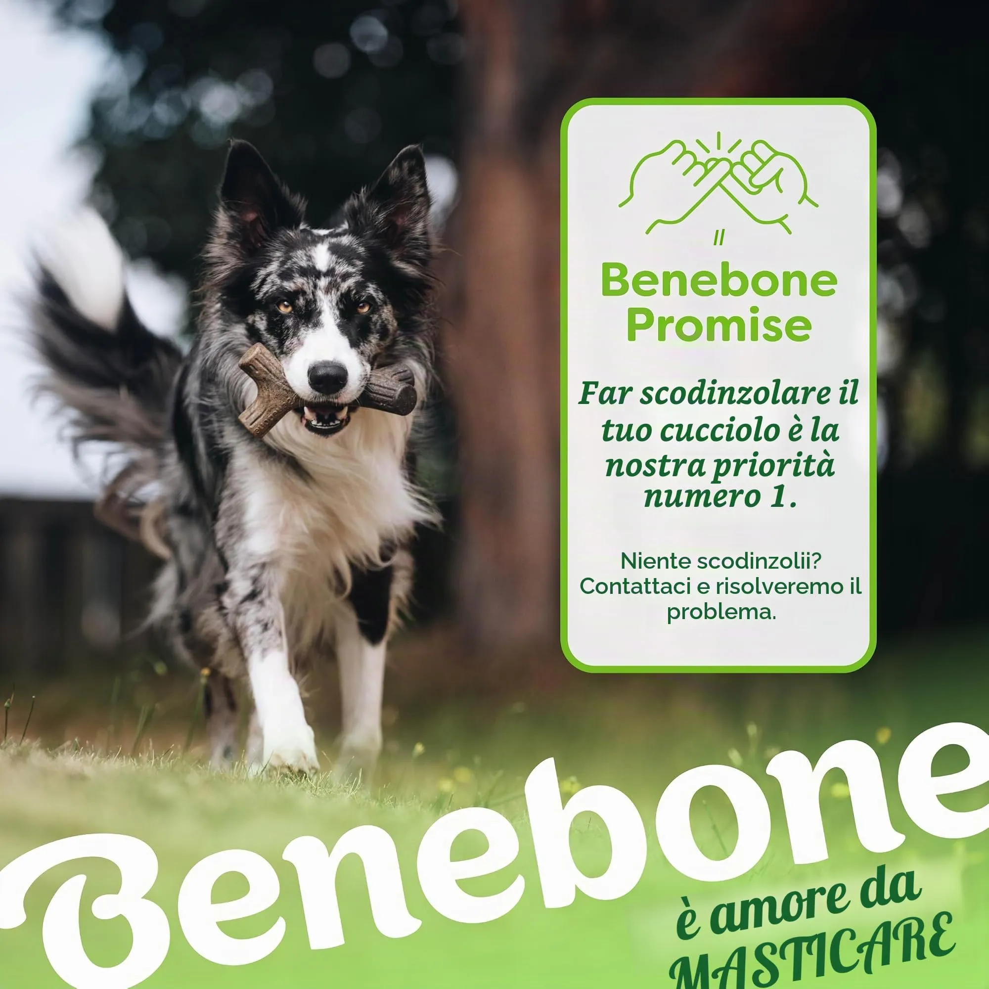 Benebone Maplestick and Zaggler Dog Chew Toys, Tiny - immagine 6