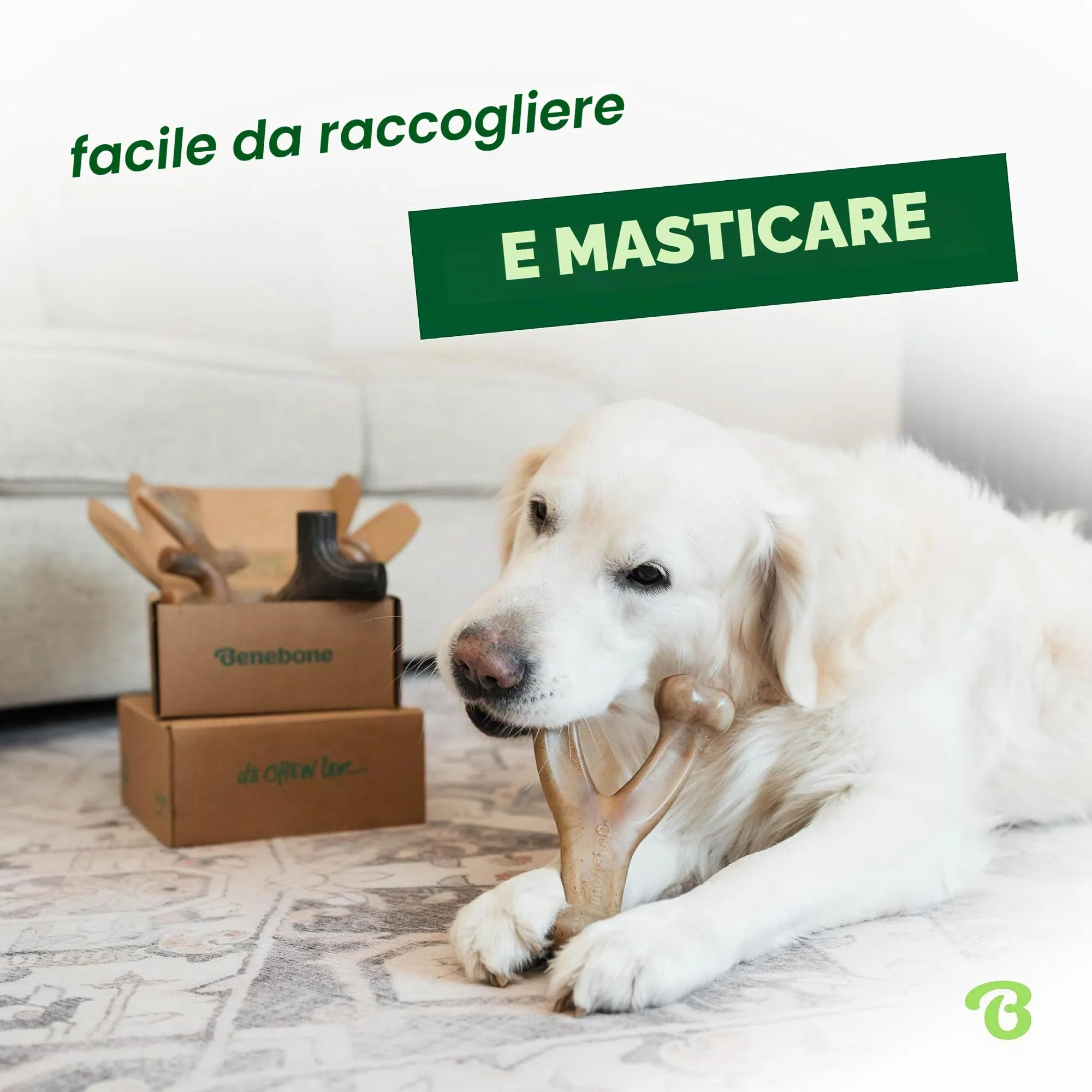 Benebone Giochi per Cani, Medium, per Masticatori Forti <60 lb, Confezione da 4 - immagine 2