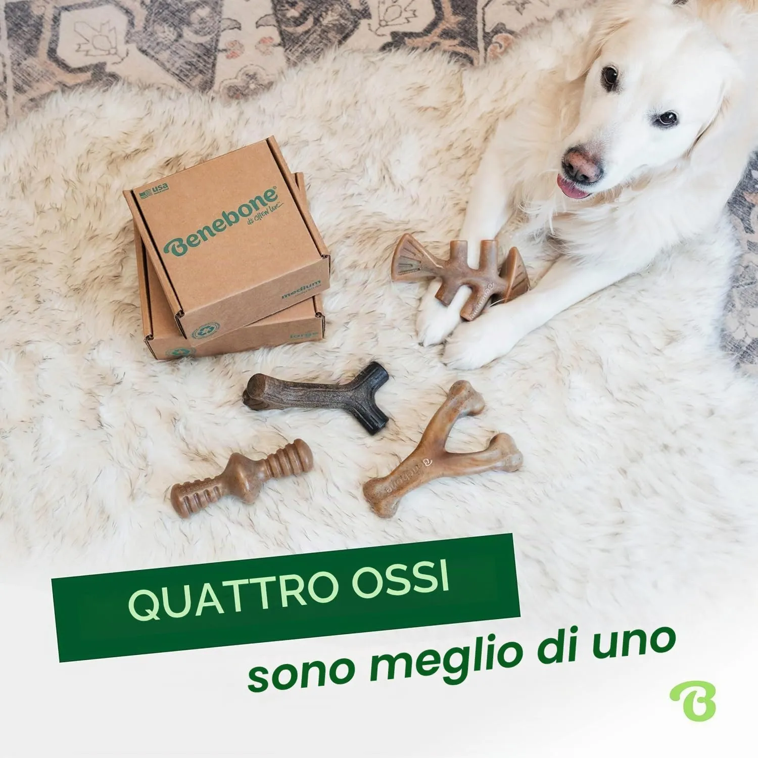 Benebone Giochi per Cani, Set da 4, Large, per Masticatori Forti fino a 40,8 kg - immagine 5