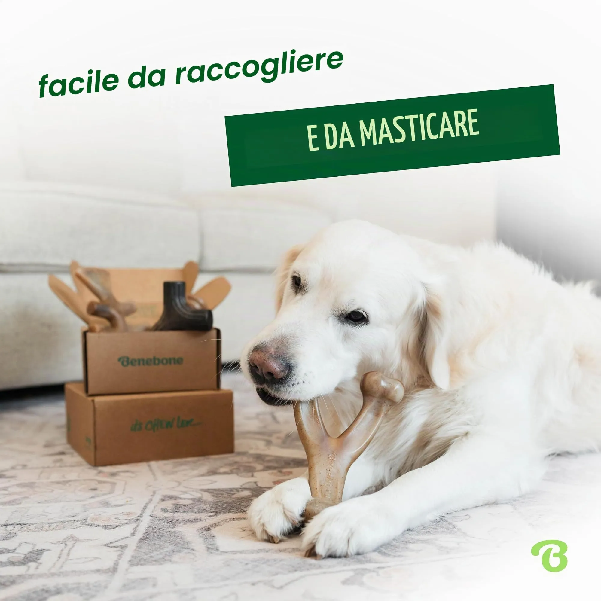 Benebone Giochi per Cani, Confezione da 4, Small, per Masticatori Forti <30 lb - immagine 2