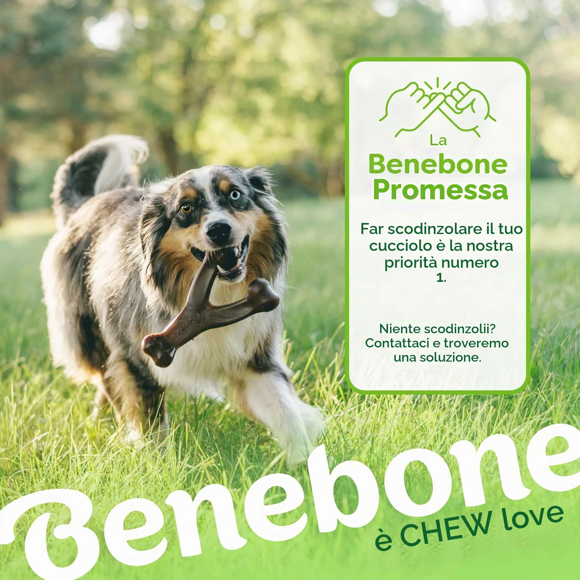 Benebone Wishbone e Dental Giochi Resistenti al Bacon Reale, Piccolo, Confezione da 2 - immagine 6