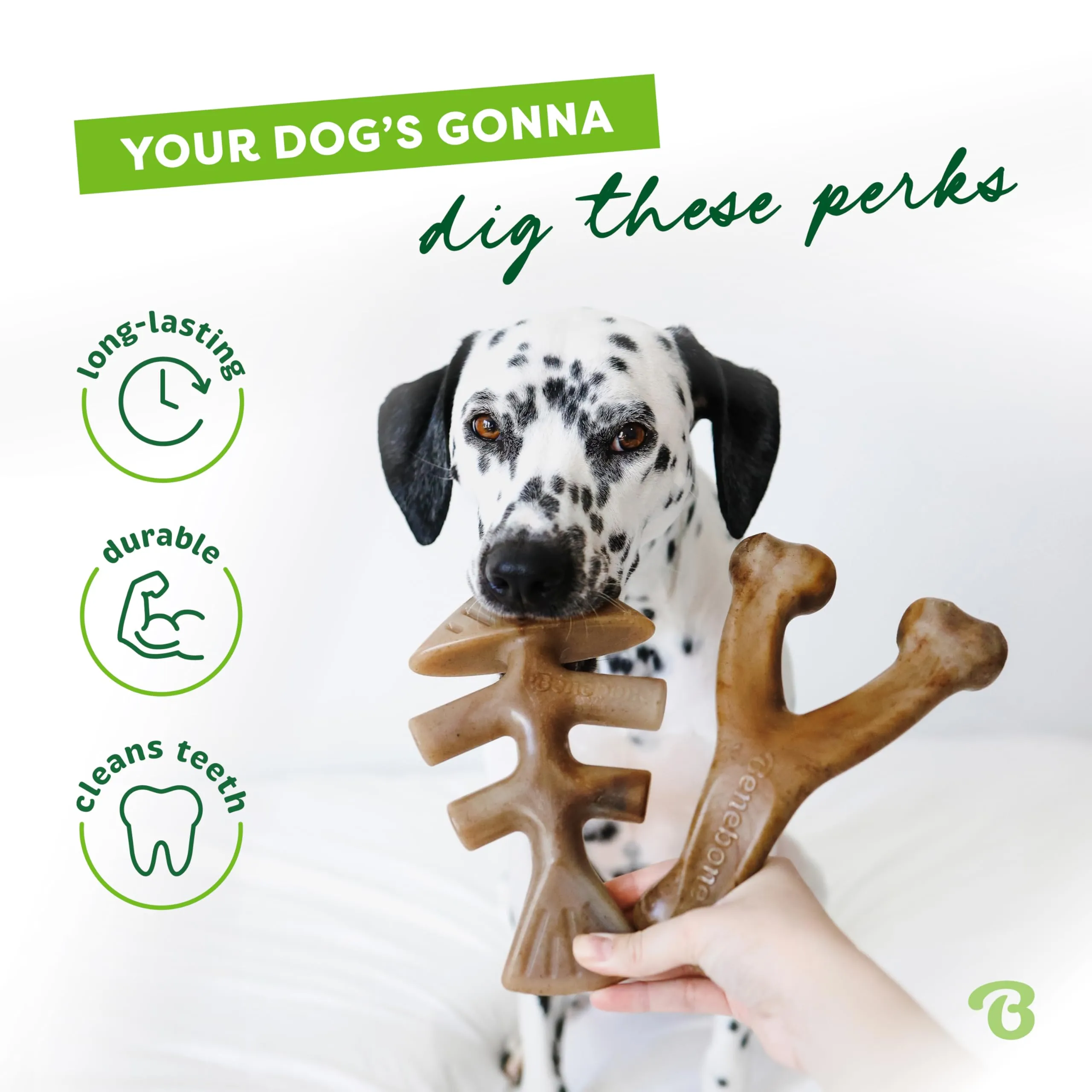 Benebone Fishbone e Wishbone Giochi Resistenti, Grande - immagine 3