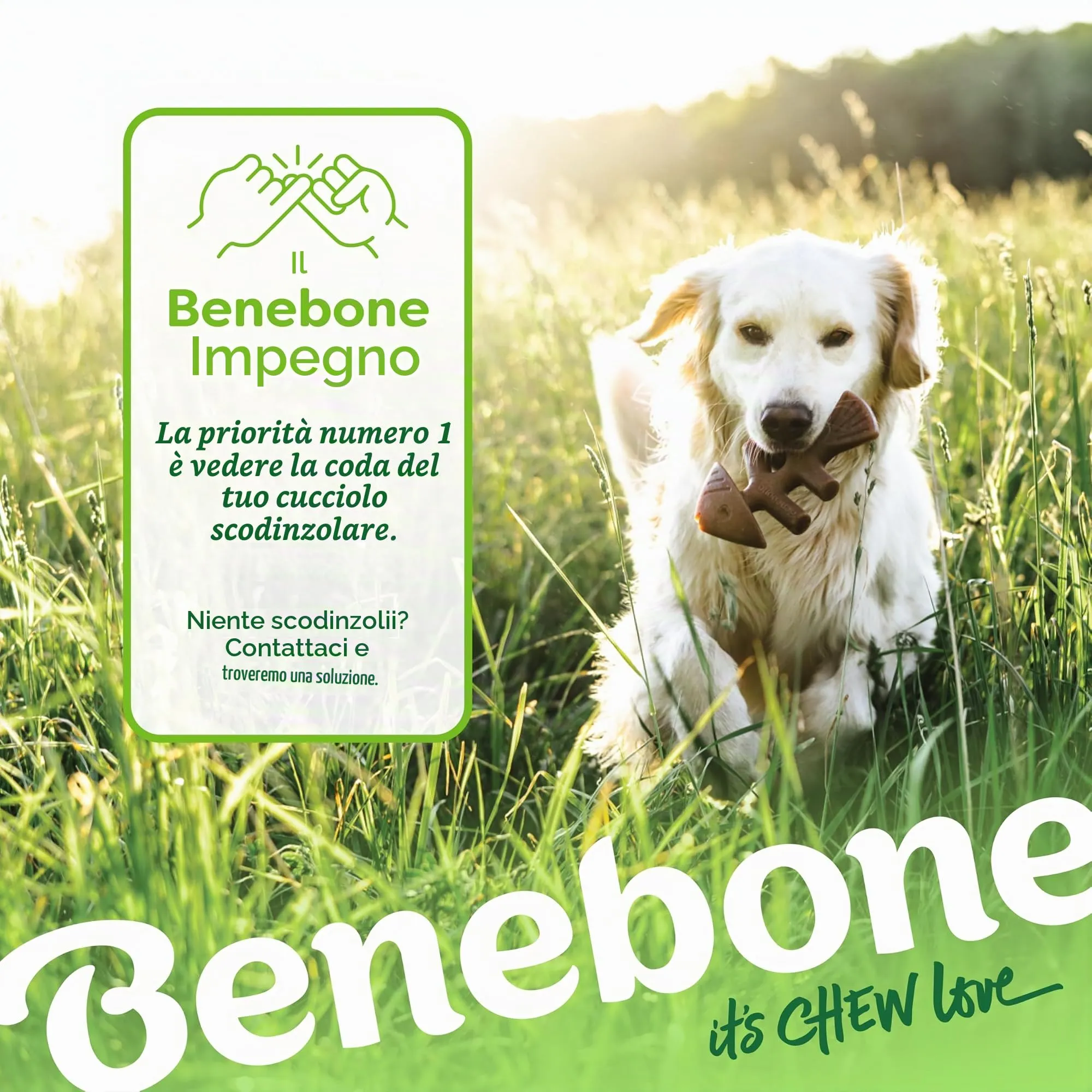 Benebone Fishbone e Wishbone Giochi Resistenti, Grande - immagine 6