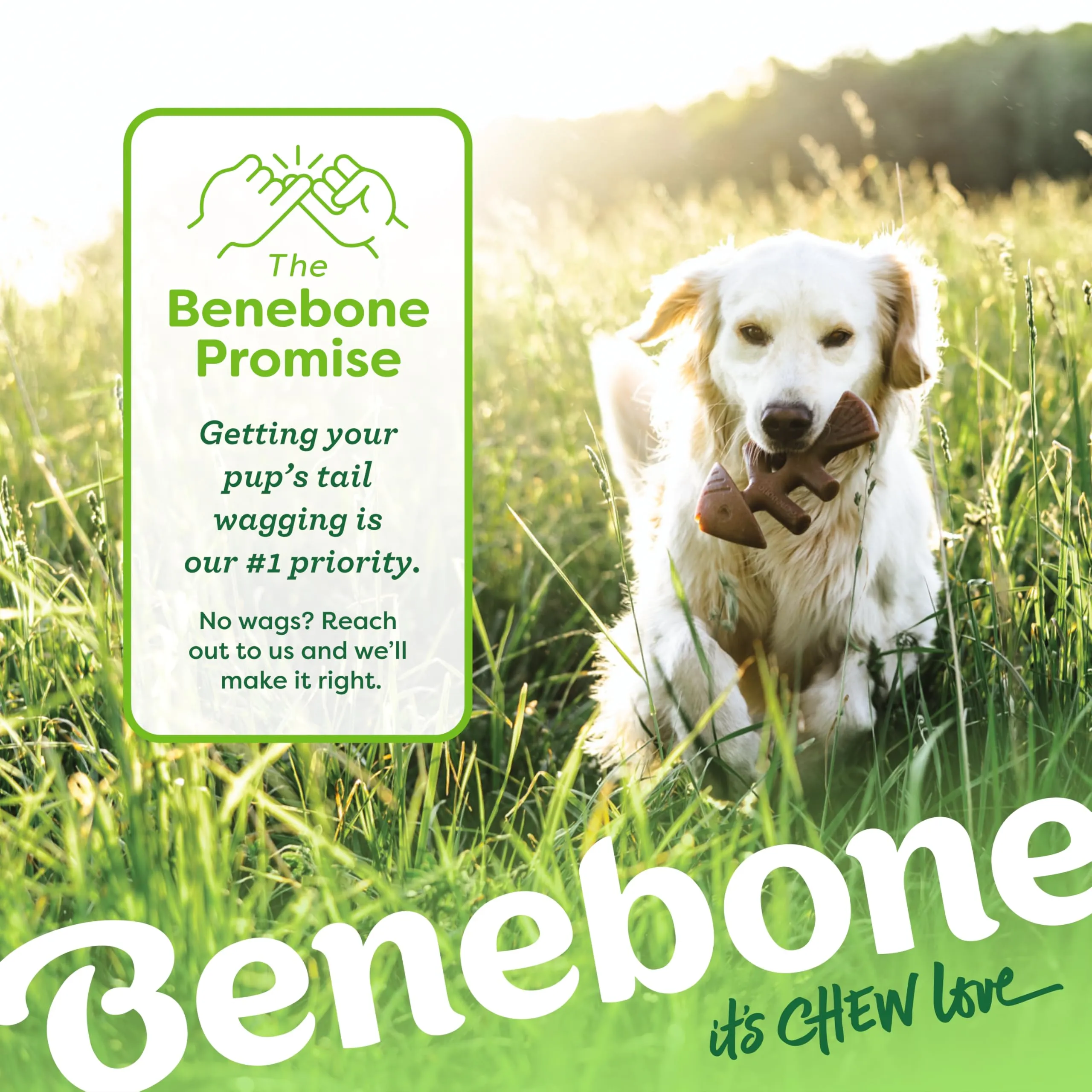 Benebone Fishbone and Wishbone Chew Toys, Small - immagine 6