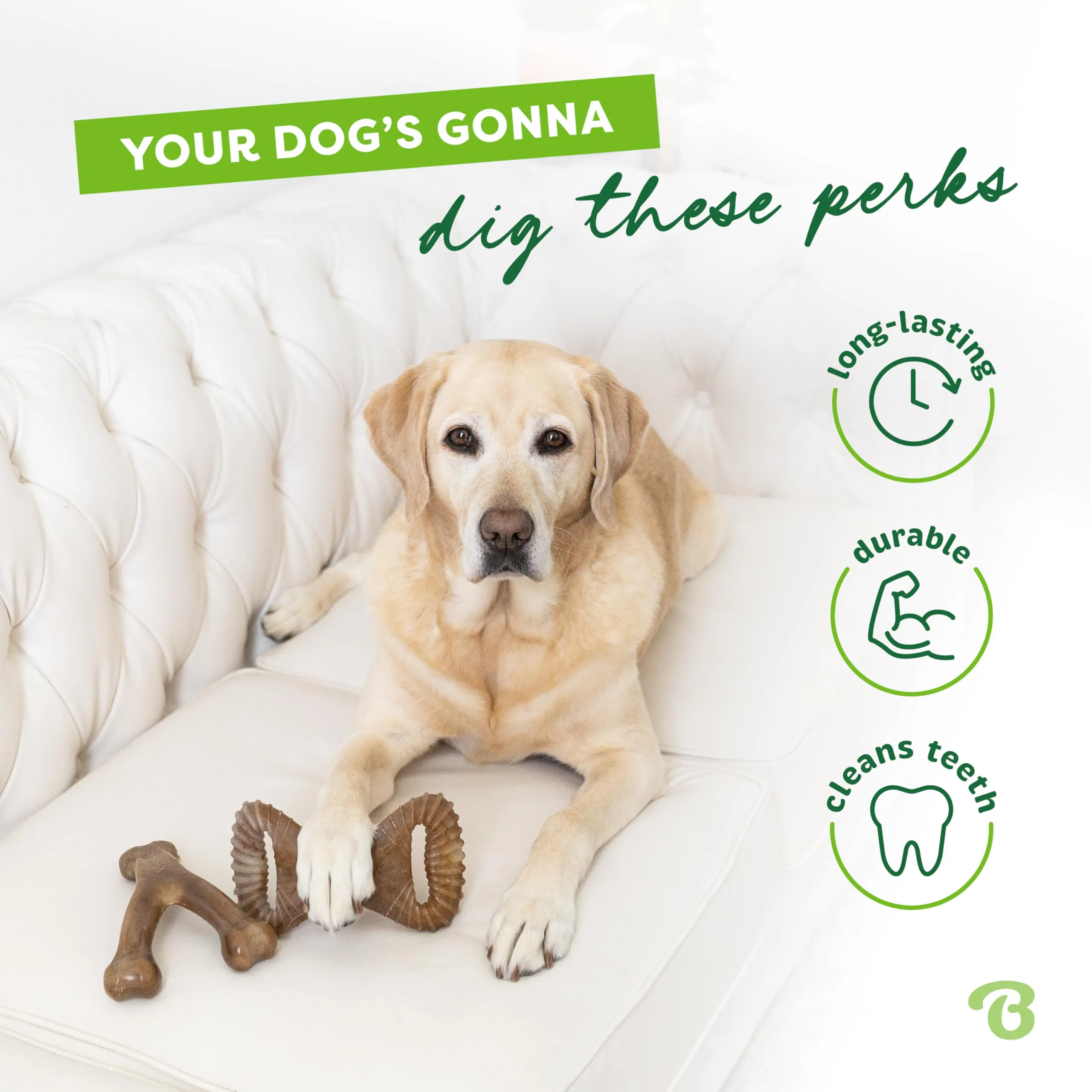 Benebone Wishbone and Dental Chews, Bacon, Medium, Pack of 2 - immagine 3