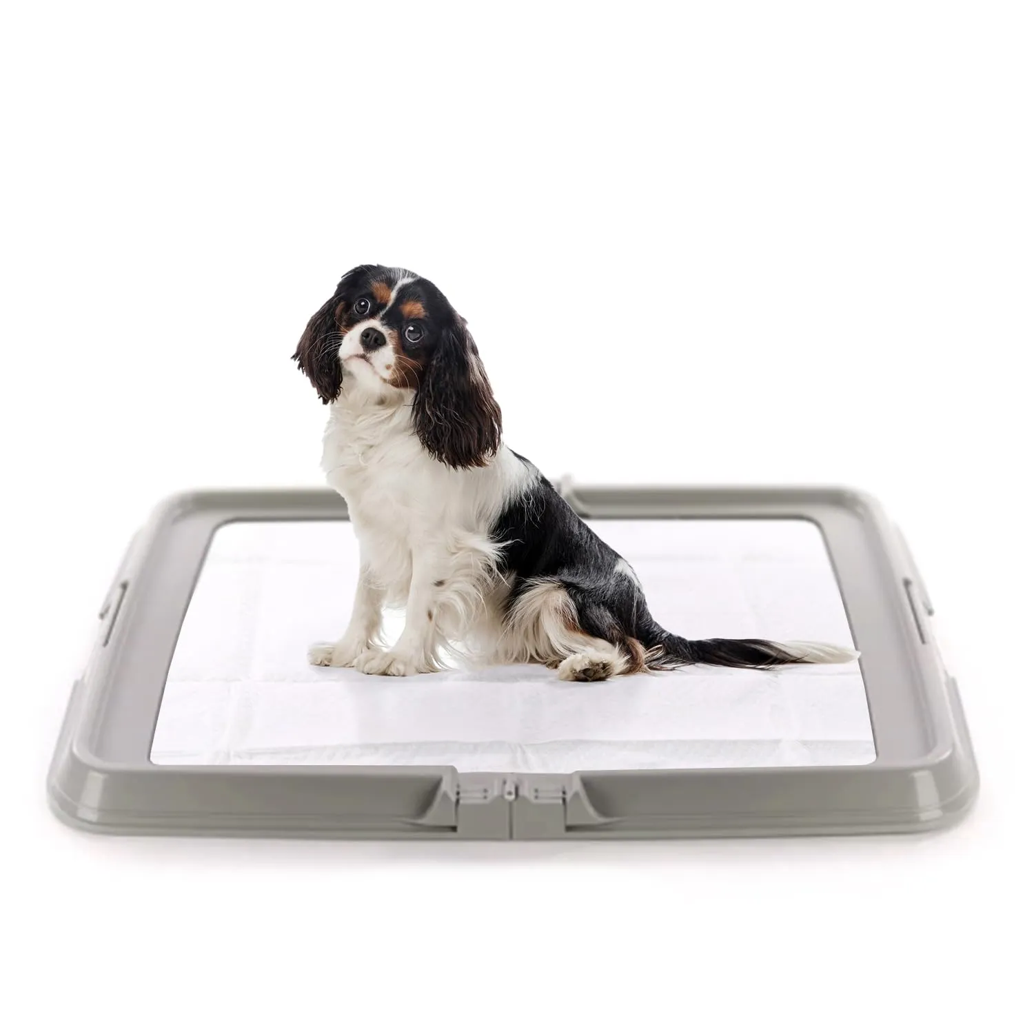 Aqpet BauBox Lettiera per Cani, Toilette Pieghevole 86x62 cm con Vassoio Porta Tappetini Assorbenti - immagine 1