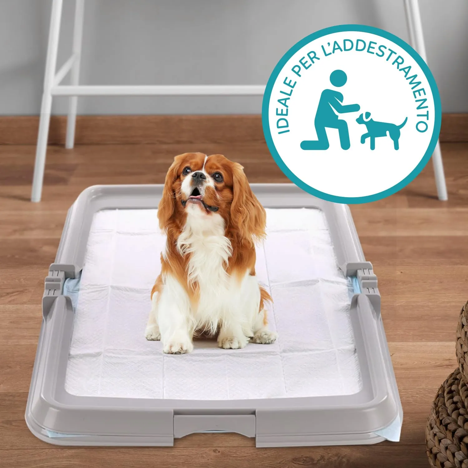 Aqpet BauBox Lettiera per Cani, Toilette Pieghevole 86x62 cm con Vassoio Porta Tappetini Assorbenti - immagine 11
