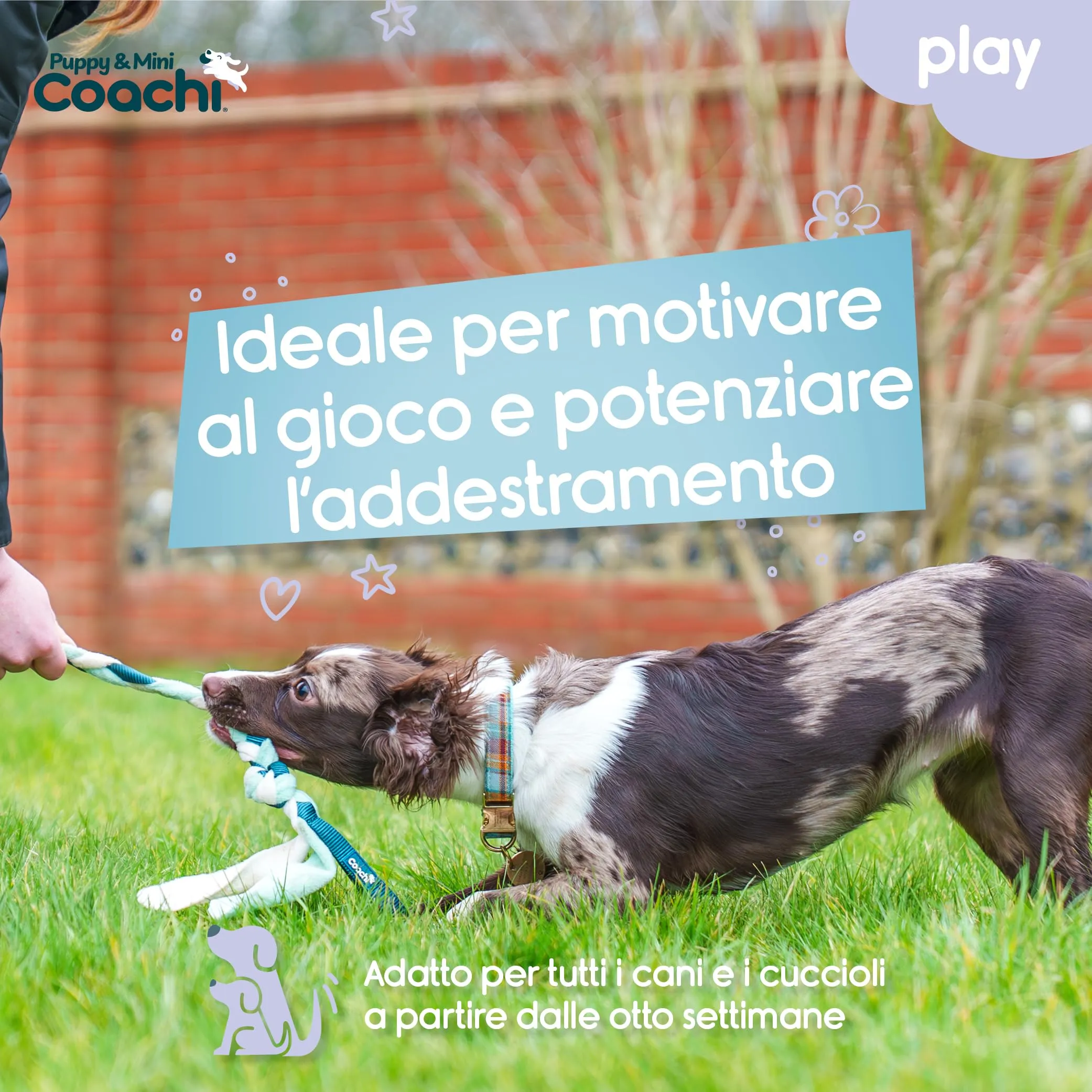 Coachi Puppy & Mini Tuggi Tug per cani - immagine 2