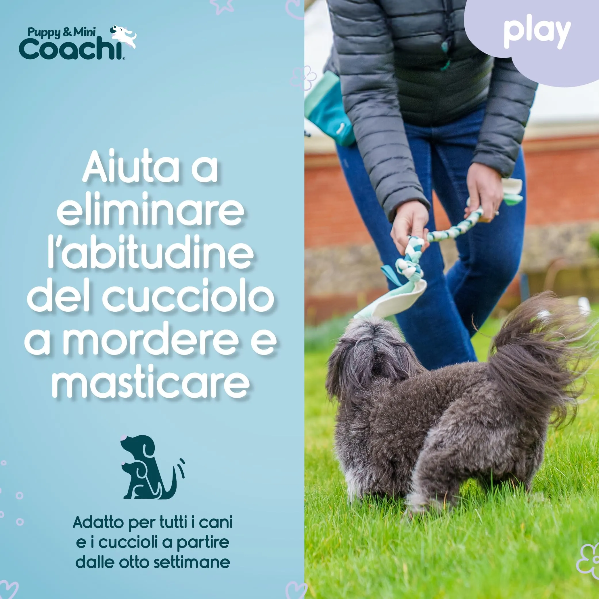 Coachi Puppy & Mini Tuggi Tug per cani - immagine 3