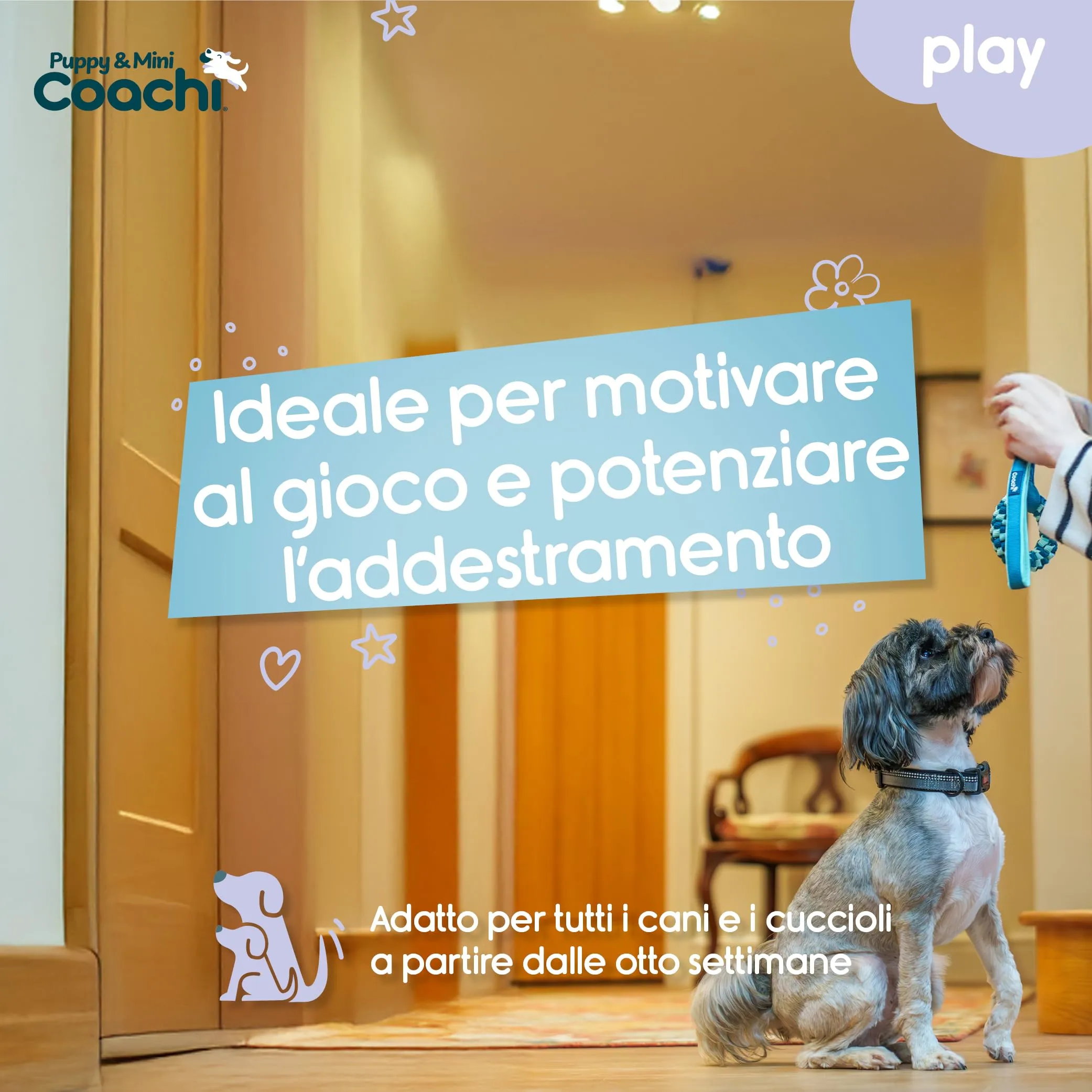 Coachi Puppy & Mini Tuggi Helix per cani - immagine 2