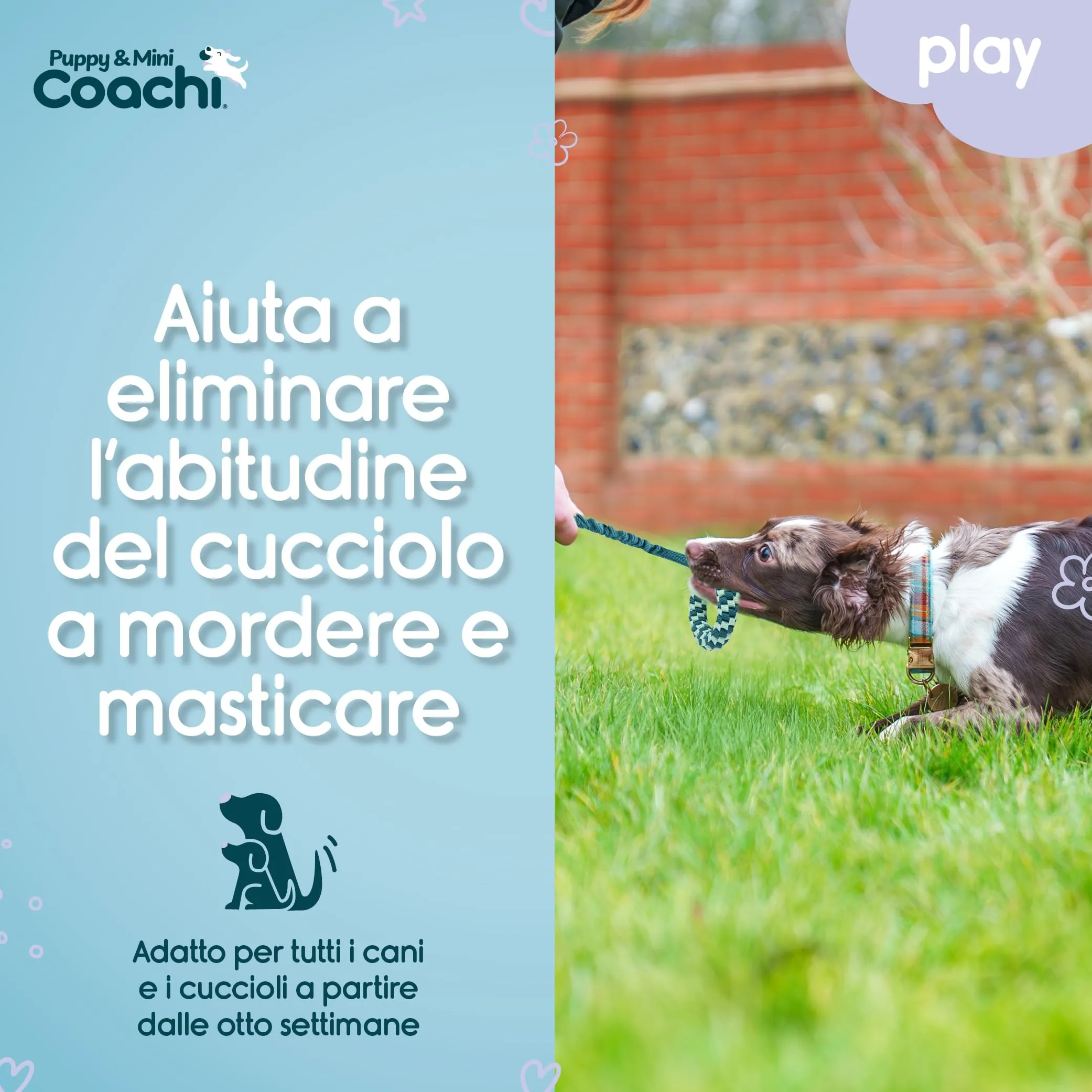 Coachi Puppy & Mini Tuggi Helix per cani - immagine 3