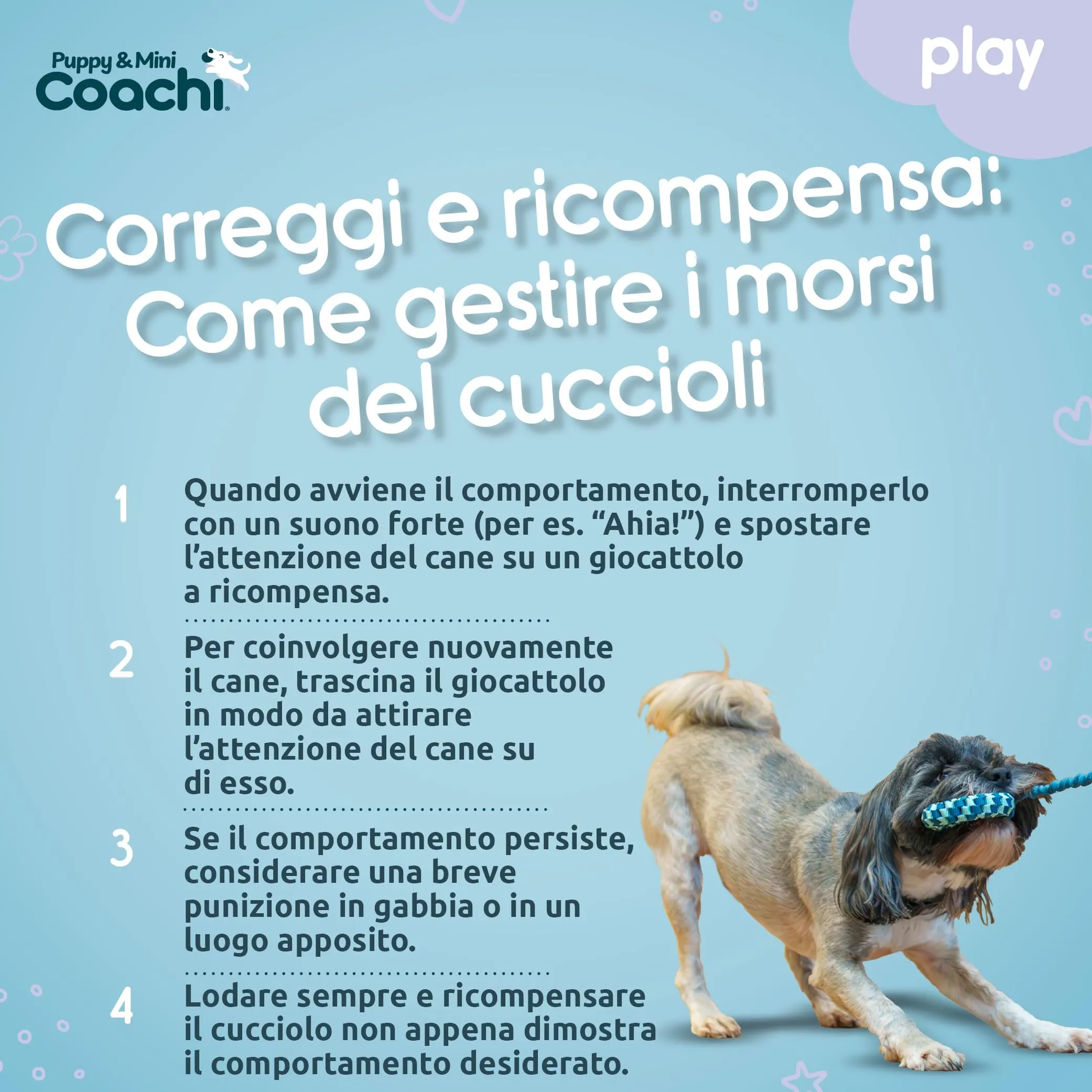 Coachi Puppy & Mini Tuggi Helix per cani - immagine 5