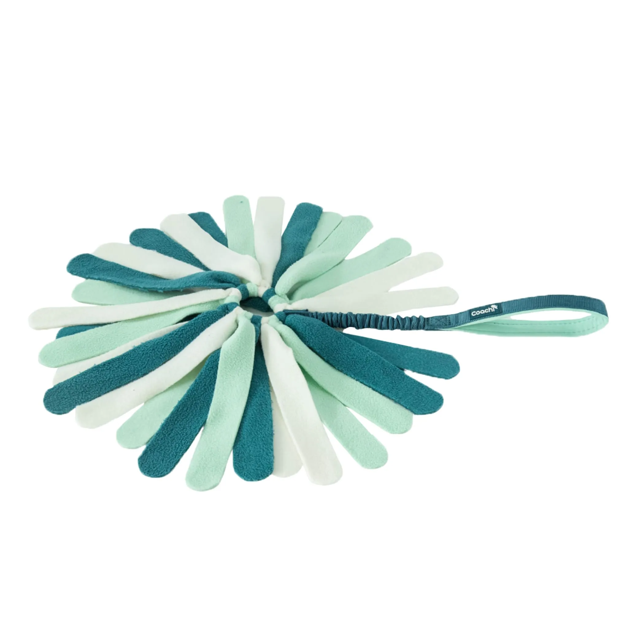 Coachi Puppy & Mini Tuggi Spider per cani - immagine 1