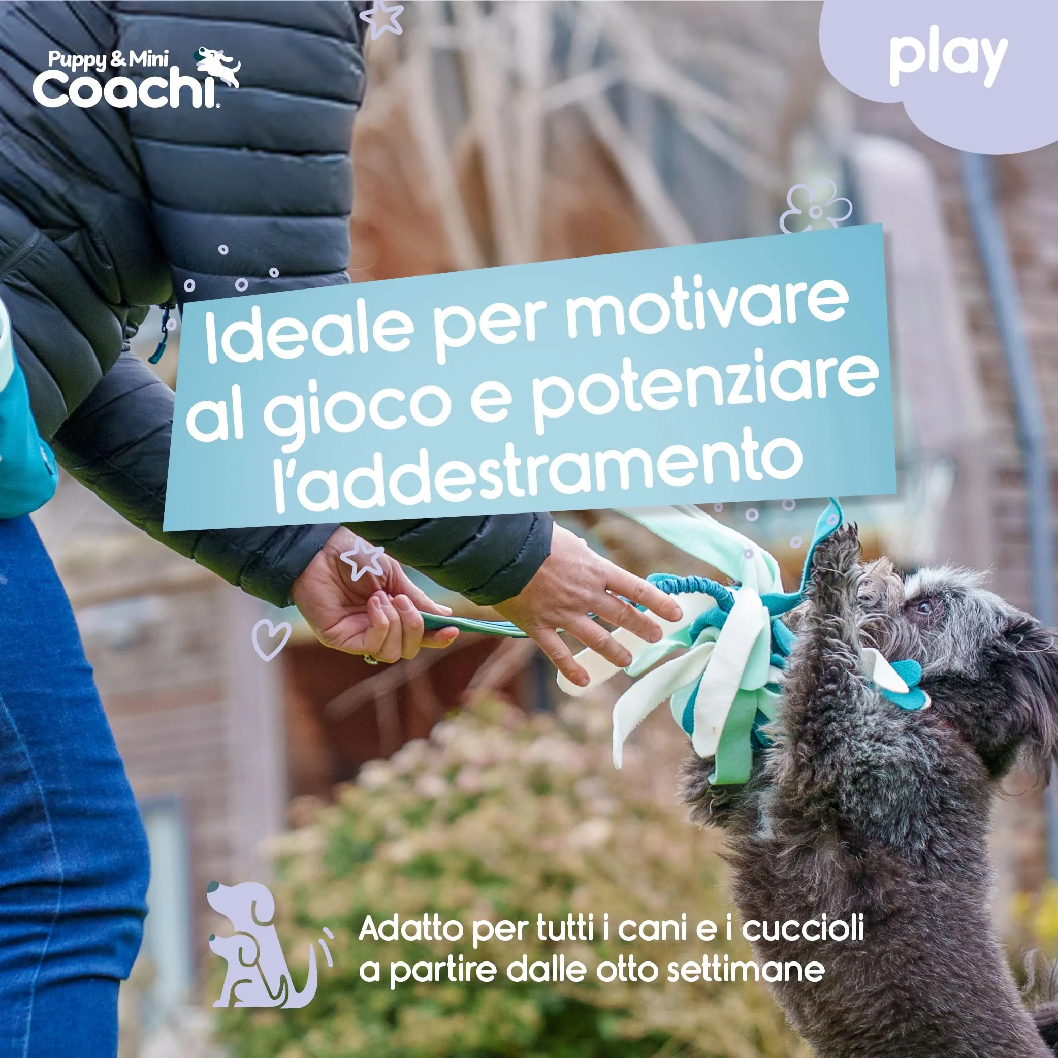 Coachi Puppy & Mini Tuggi Spider per cani - immagine 2