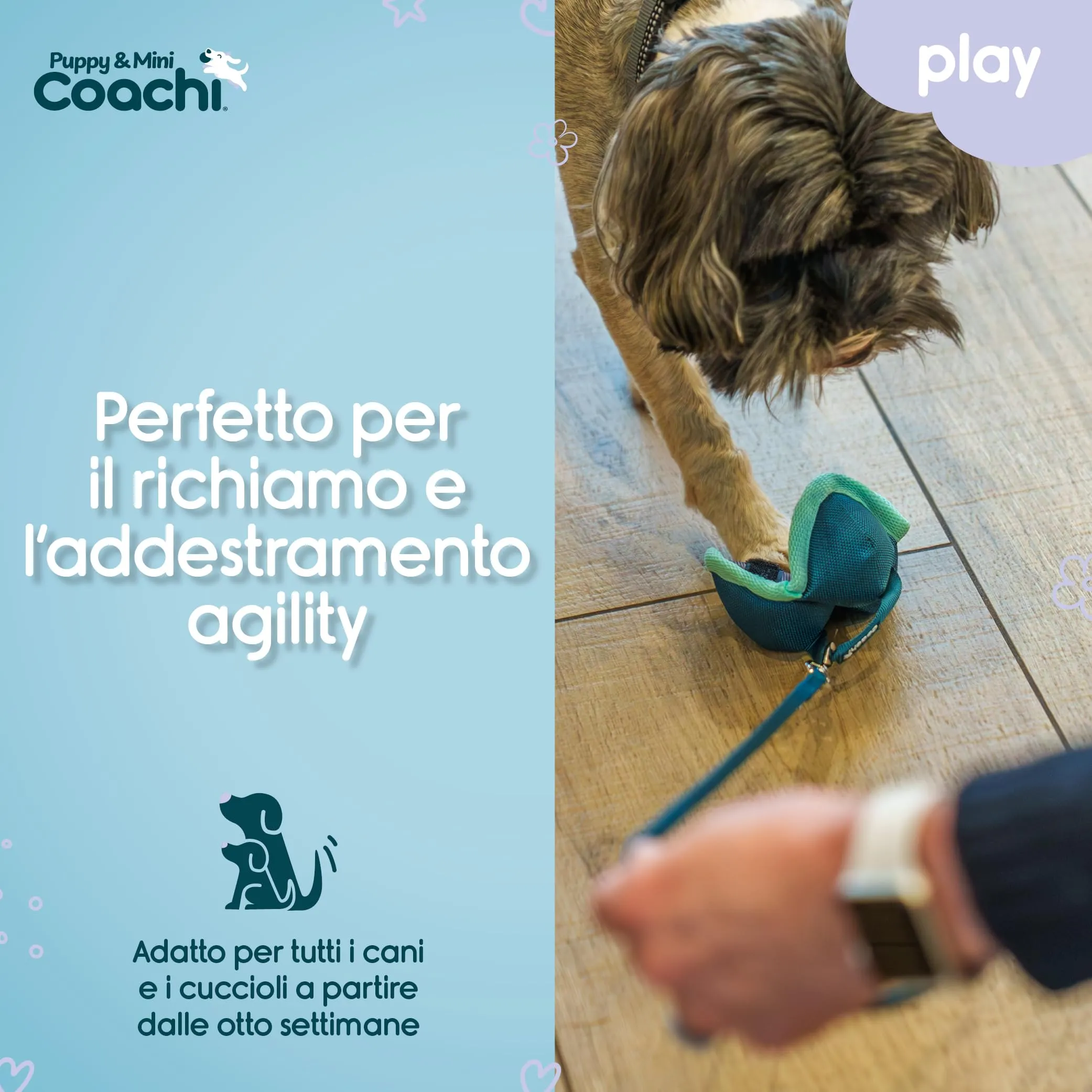 Coachi Puppy & Mini Chase & Treat per cani - immagine 3