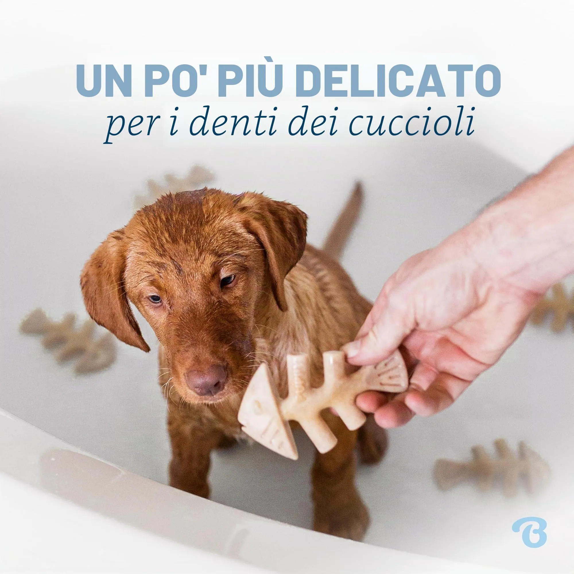 Benebone Cucciolo Giochi da Masticare, Confezione da 4, Piccolo - immagine 2