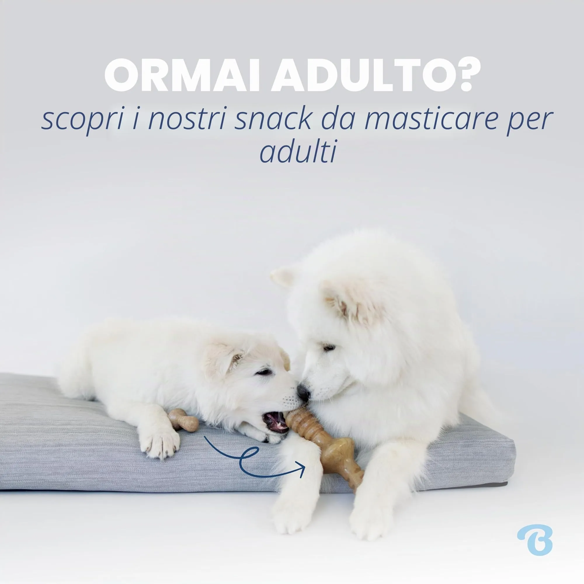 Benebone Cucciolo Giochi da Masticare, Confezione da 4, Piccolo - immagine 7