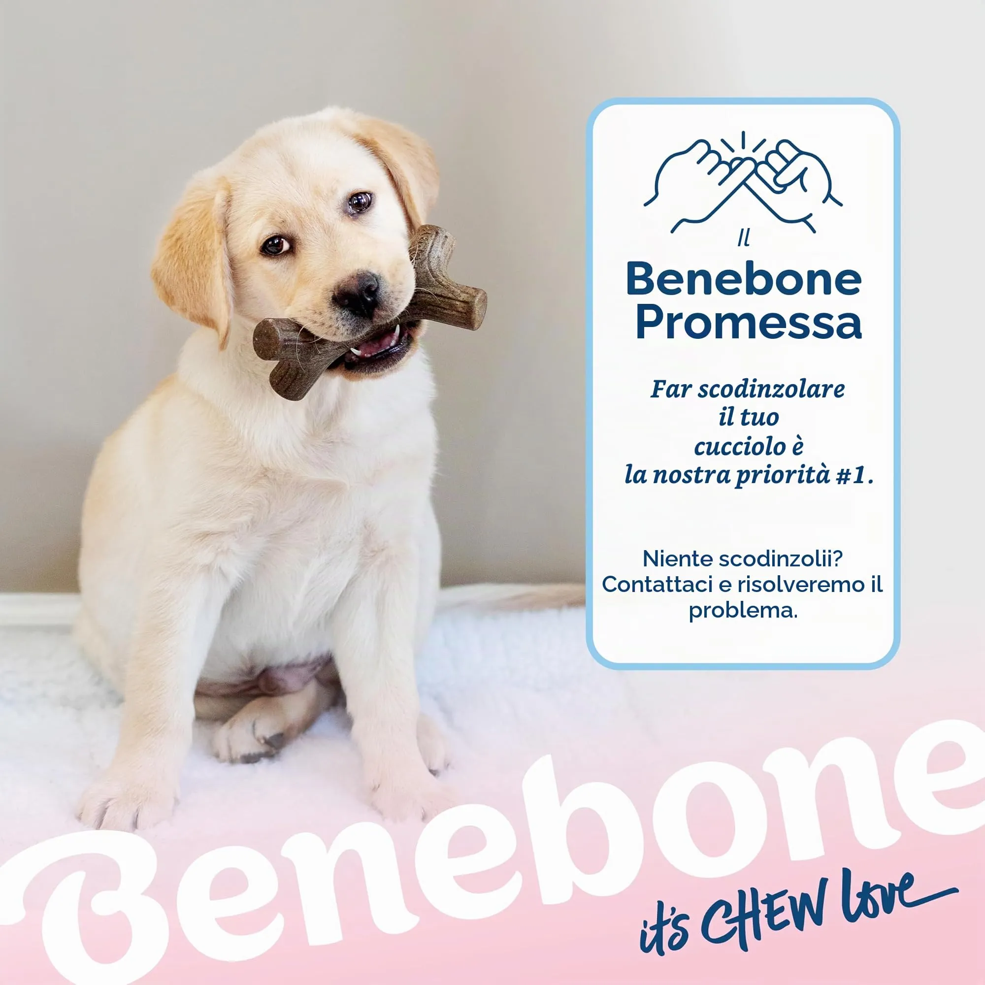 Benebone Cucciolo Giochi da Masticare, Confezione da 4, Piccolo - immagine 8