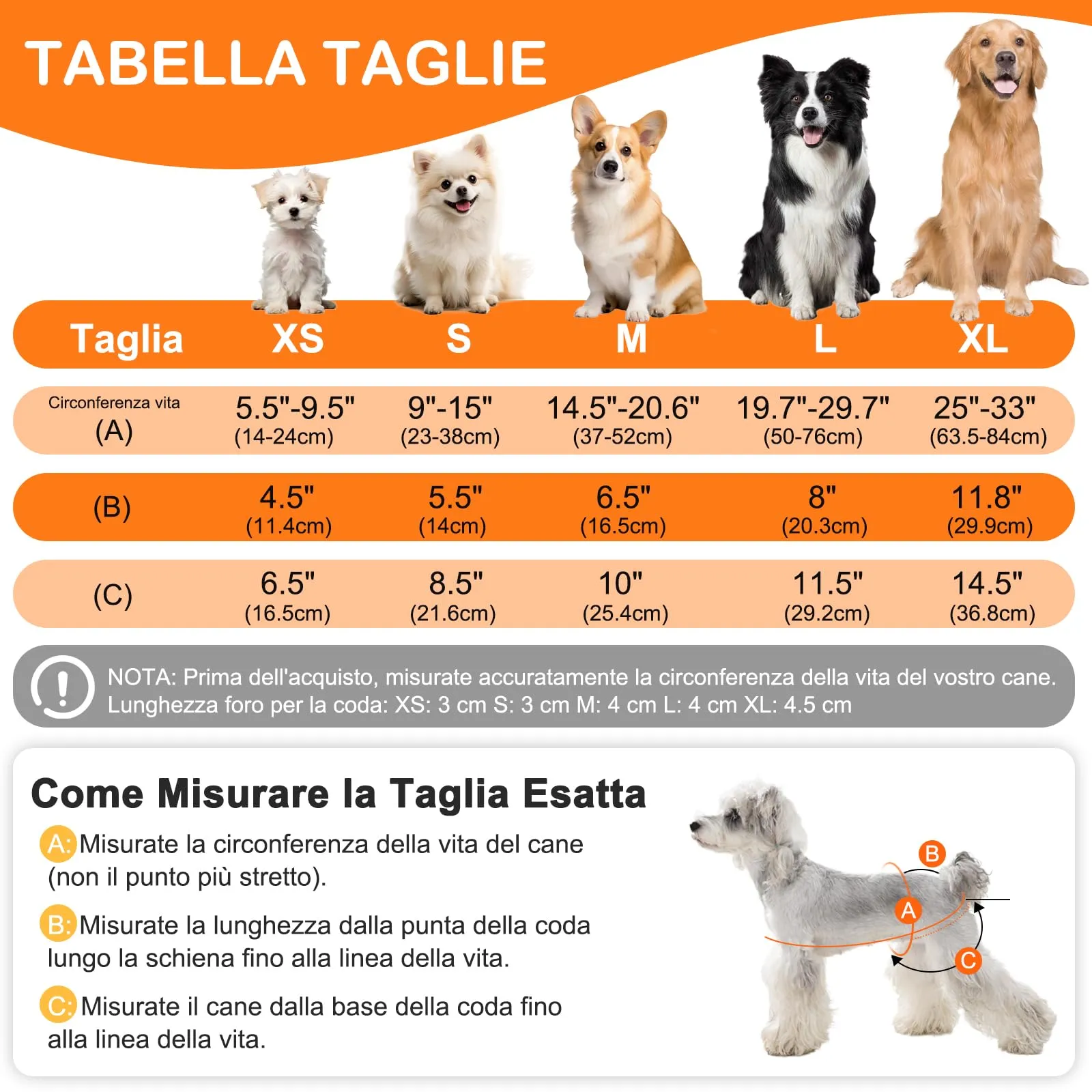 UFO PET Mutandine Lavabili per Cane Femmina, Taglia L, 3 Pezzi - immagine 2