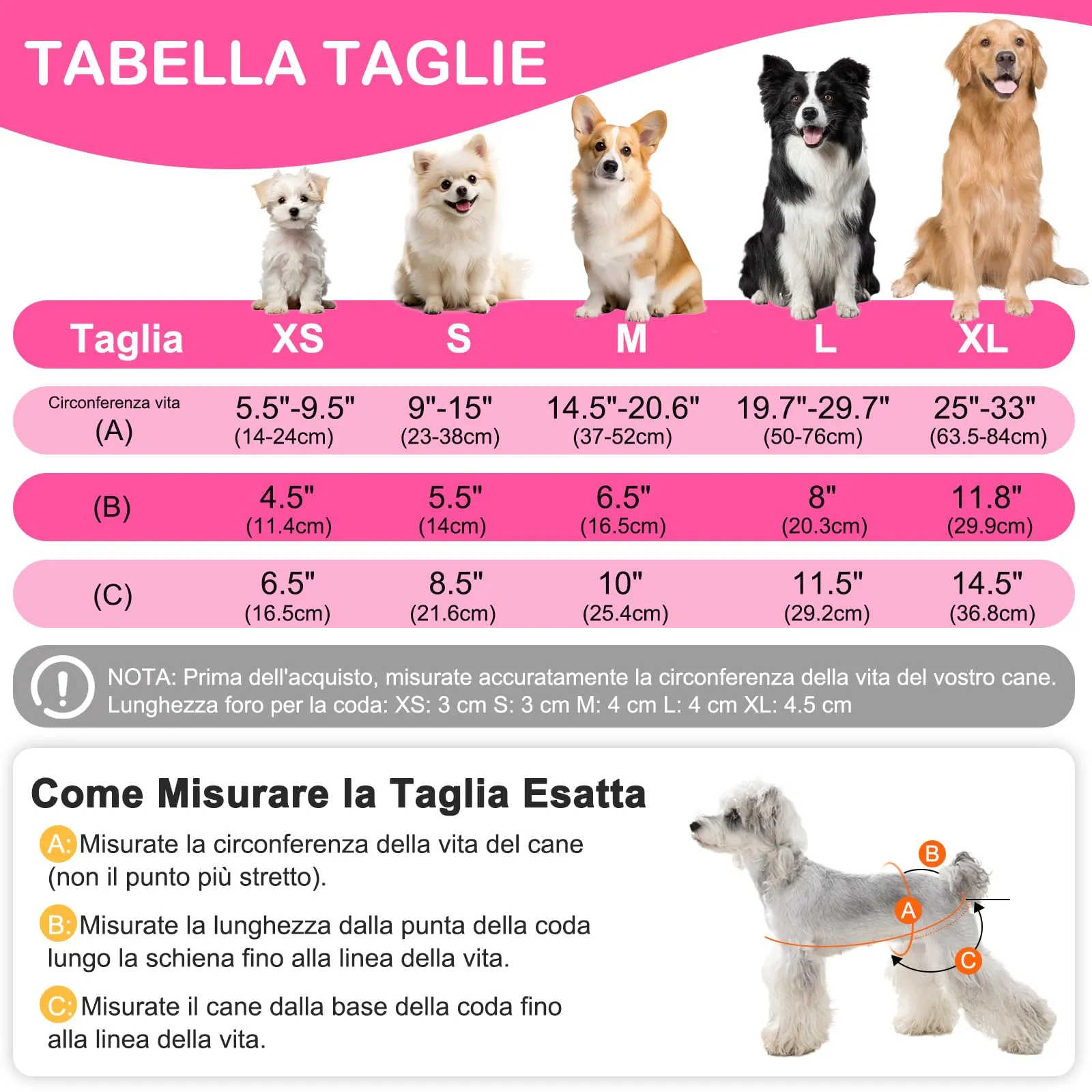 UFO PET Mutandine Lavabili per Cane Femmina in Calore, Taglia M (3 Pezzi) - immagine 2